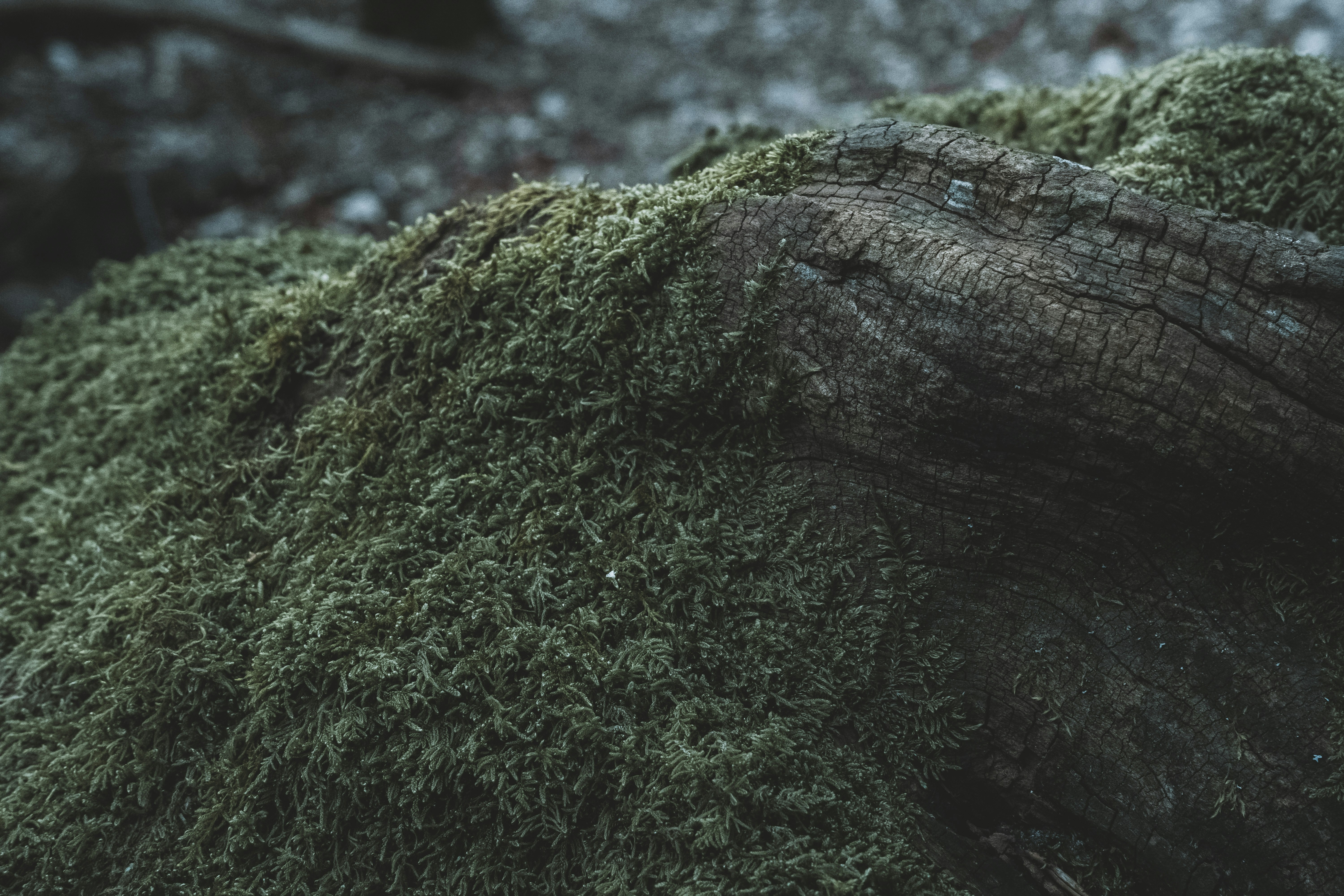 Photo by fabiankleiser