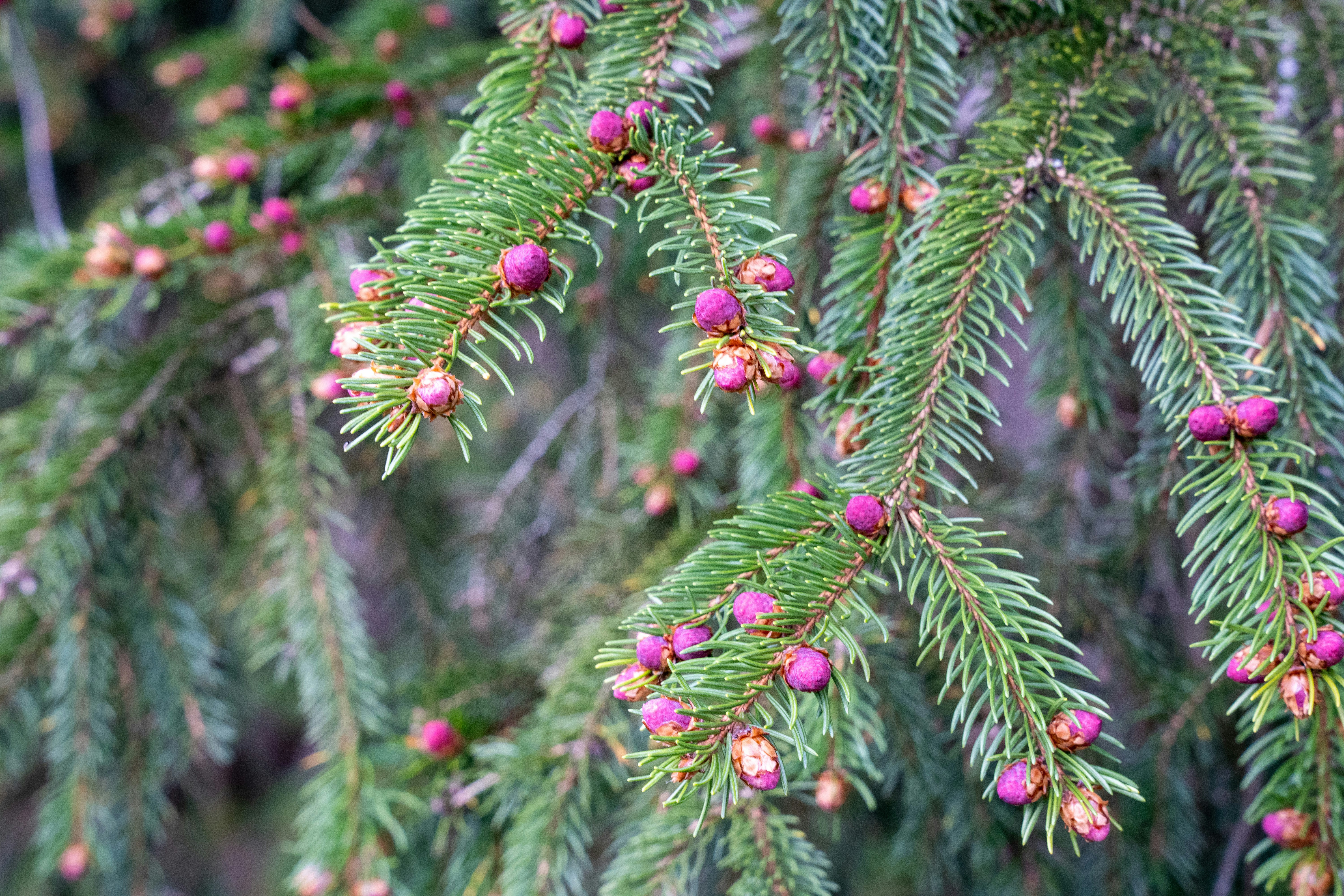 Photo by fabiankleiser