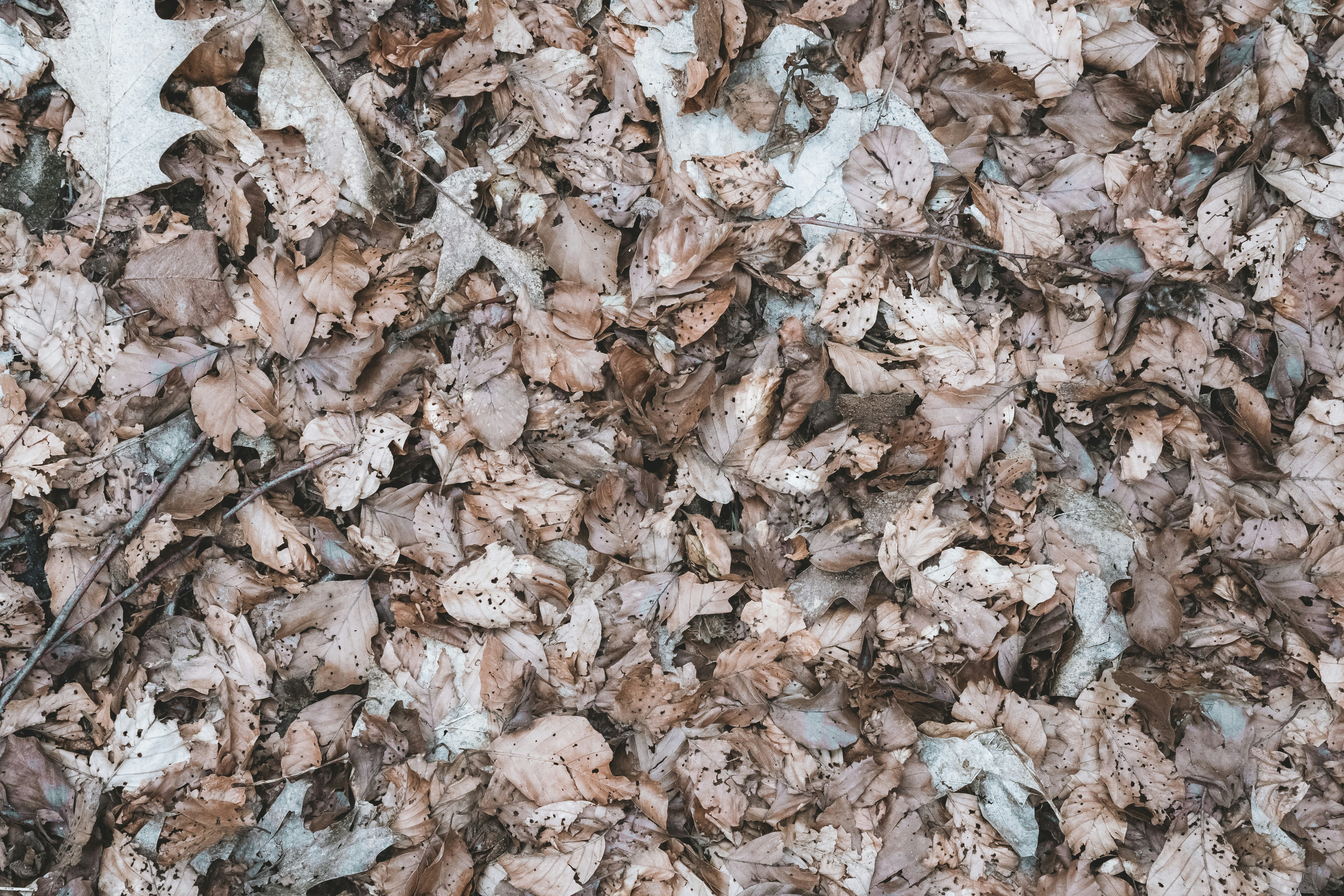 Photo by fabiankleiser