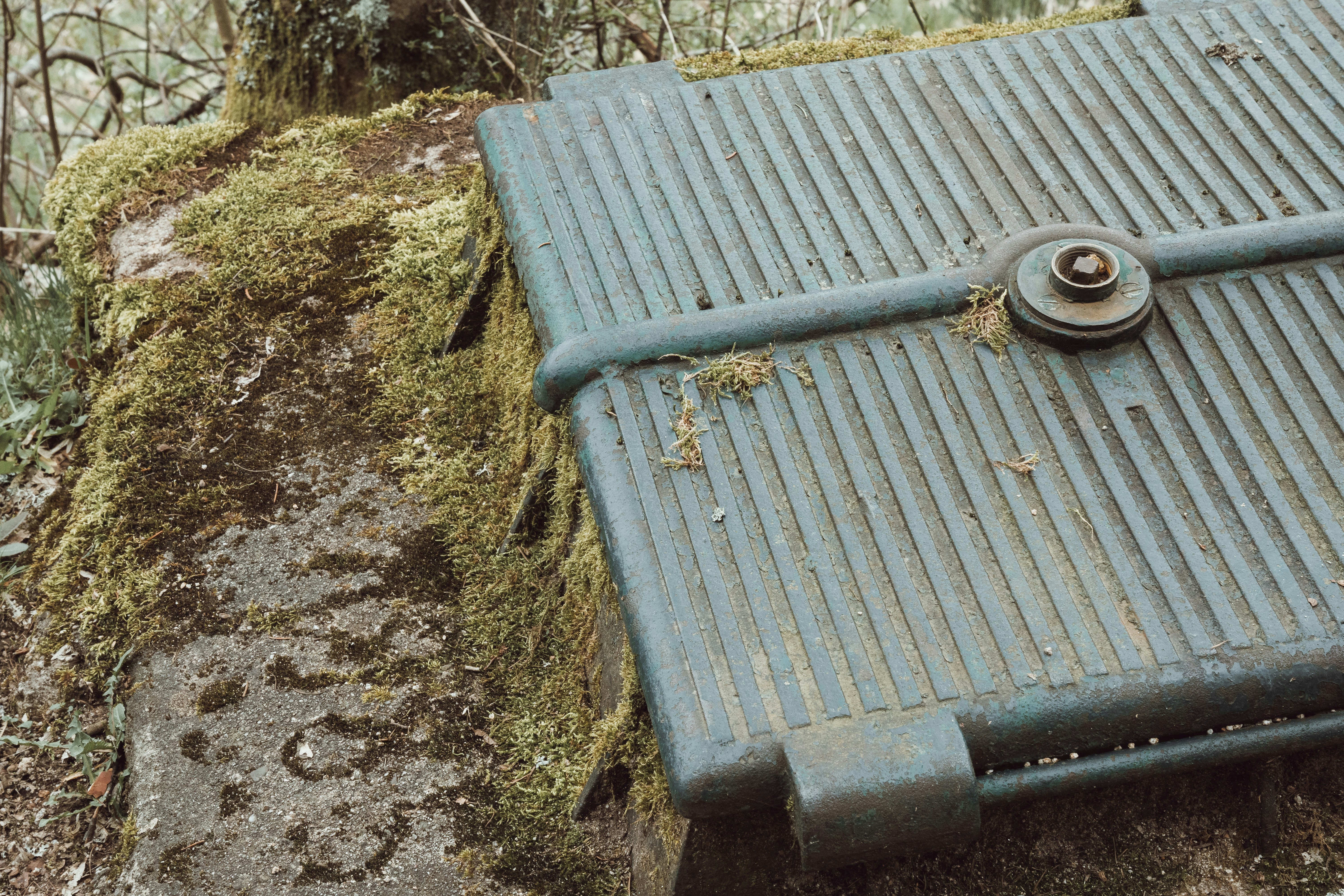 Old metal cover in the forest