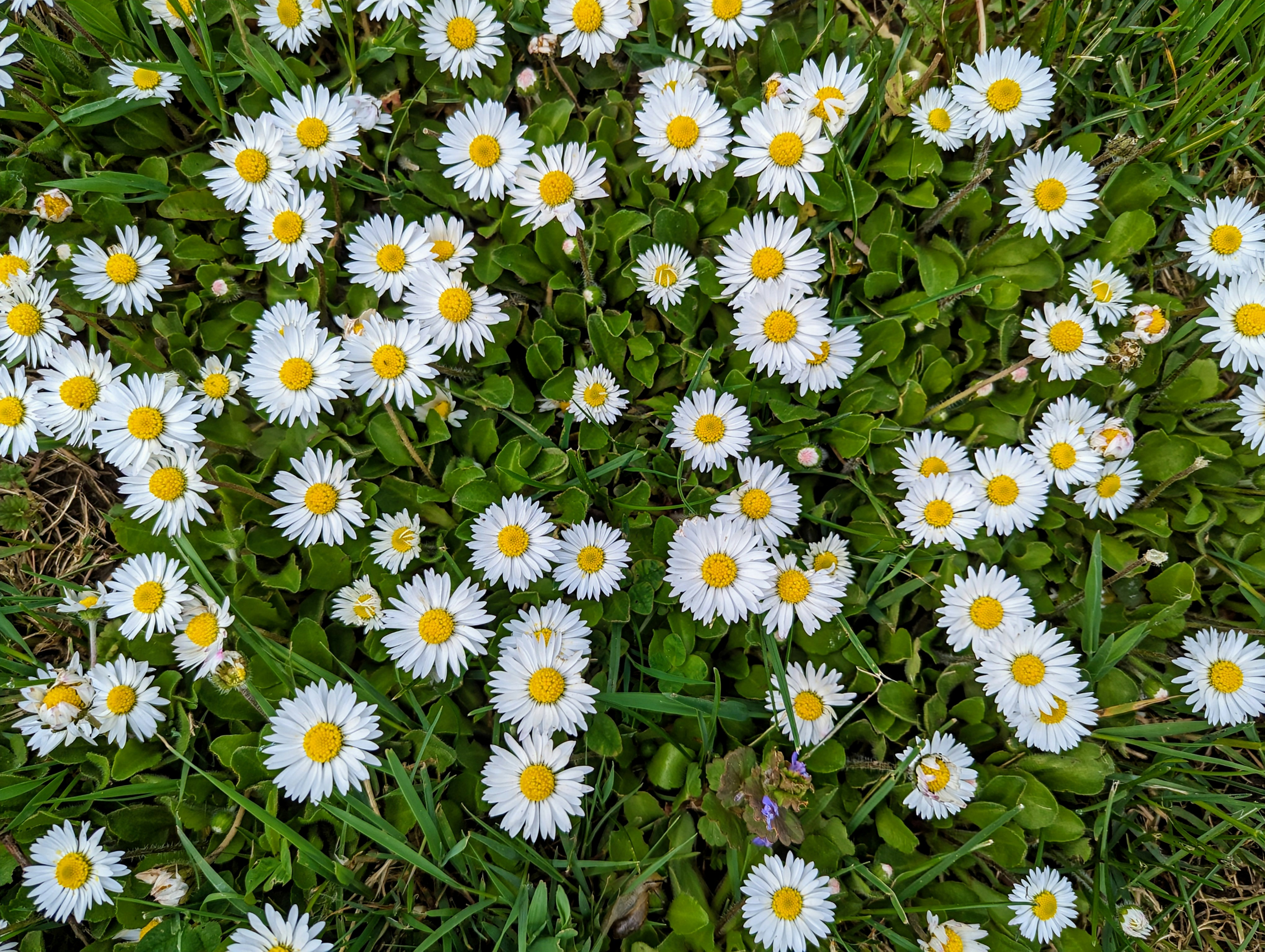 Photo by tamrootbeer