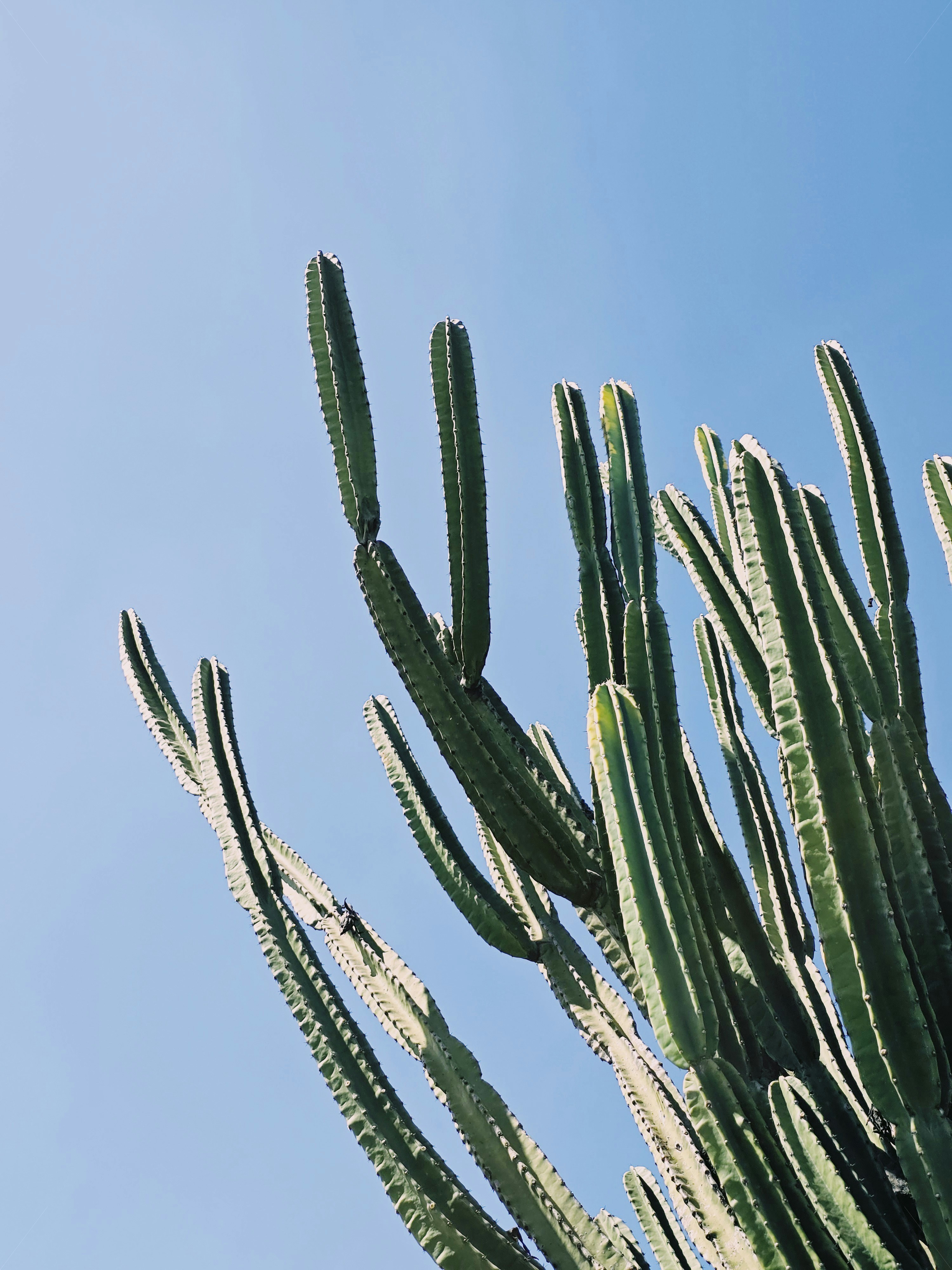 Photo by claitonconto