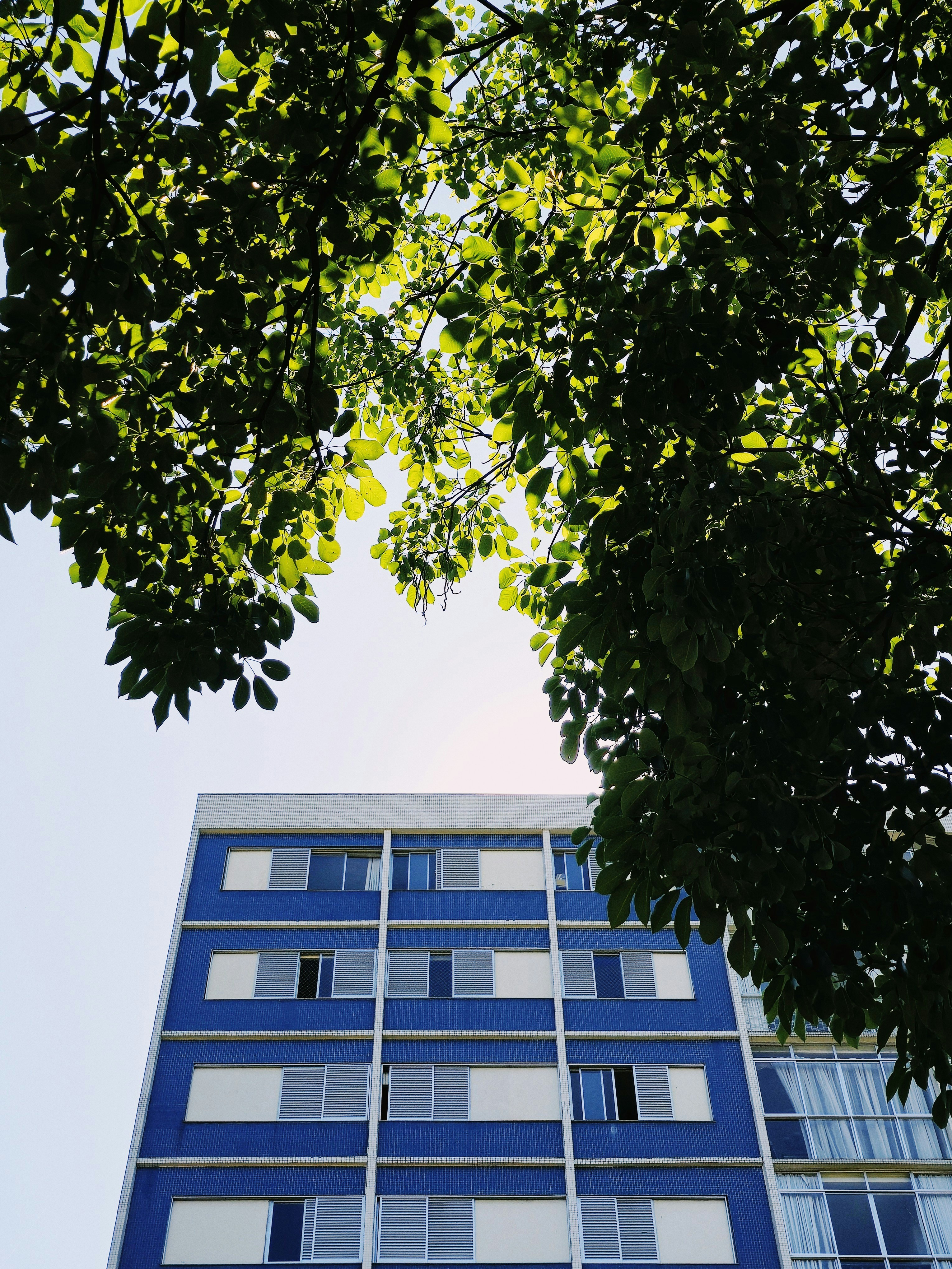 Photo by claitonconto