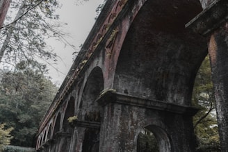a very old bridge that has some trees in it
