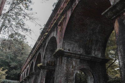 a very old bridge that has some trees in it