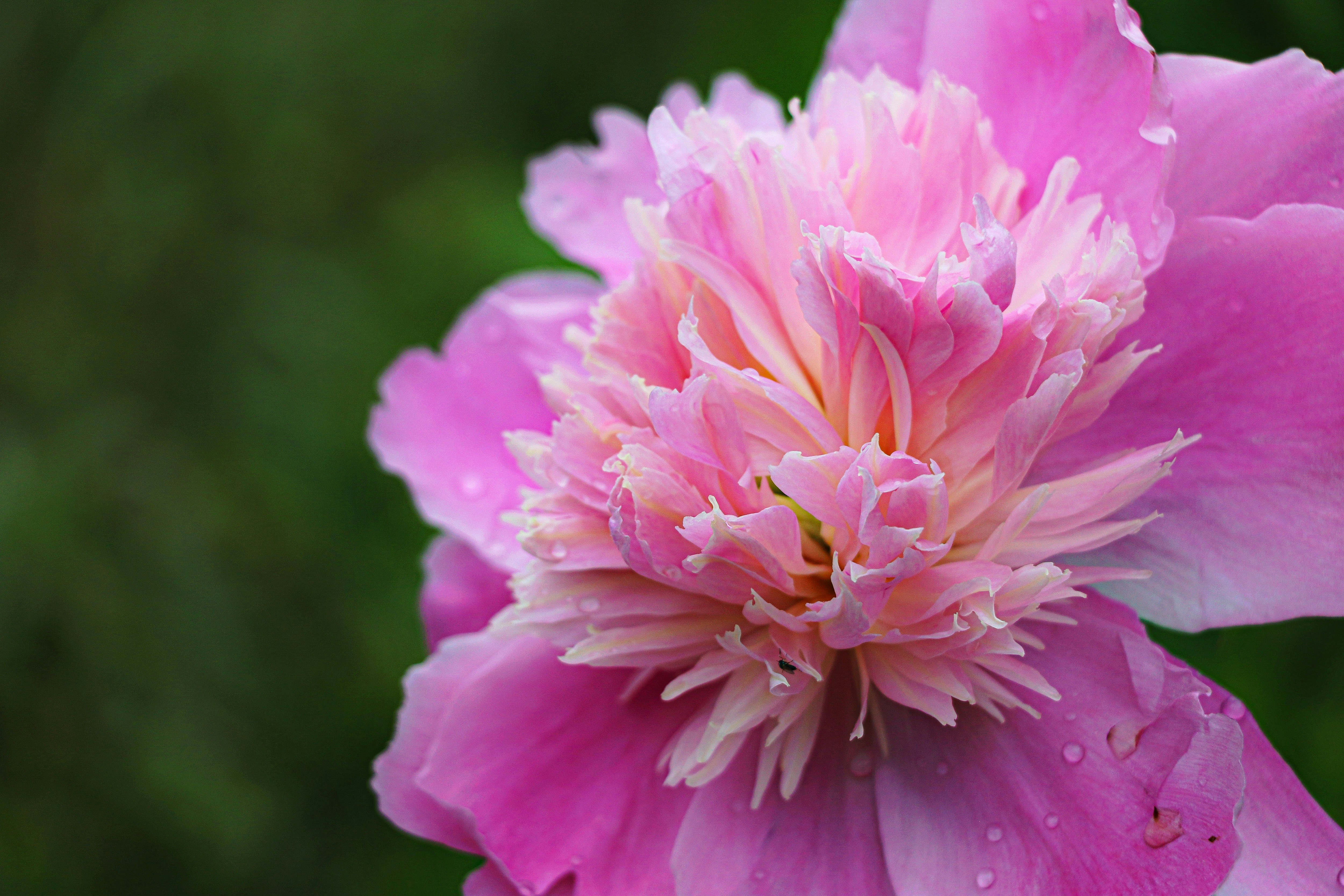 일시납 vs 적립식 투자, 누가 어떤 걸 택해야 하나요?
