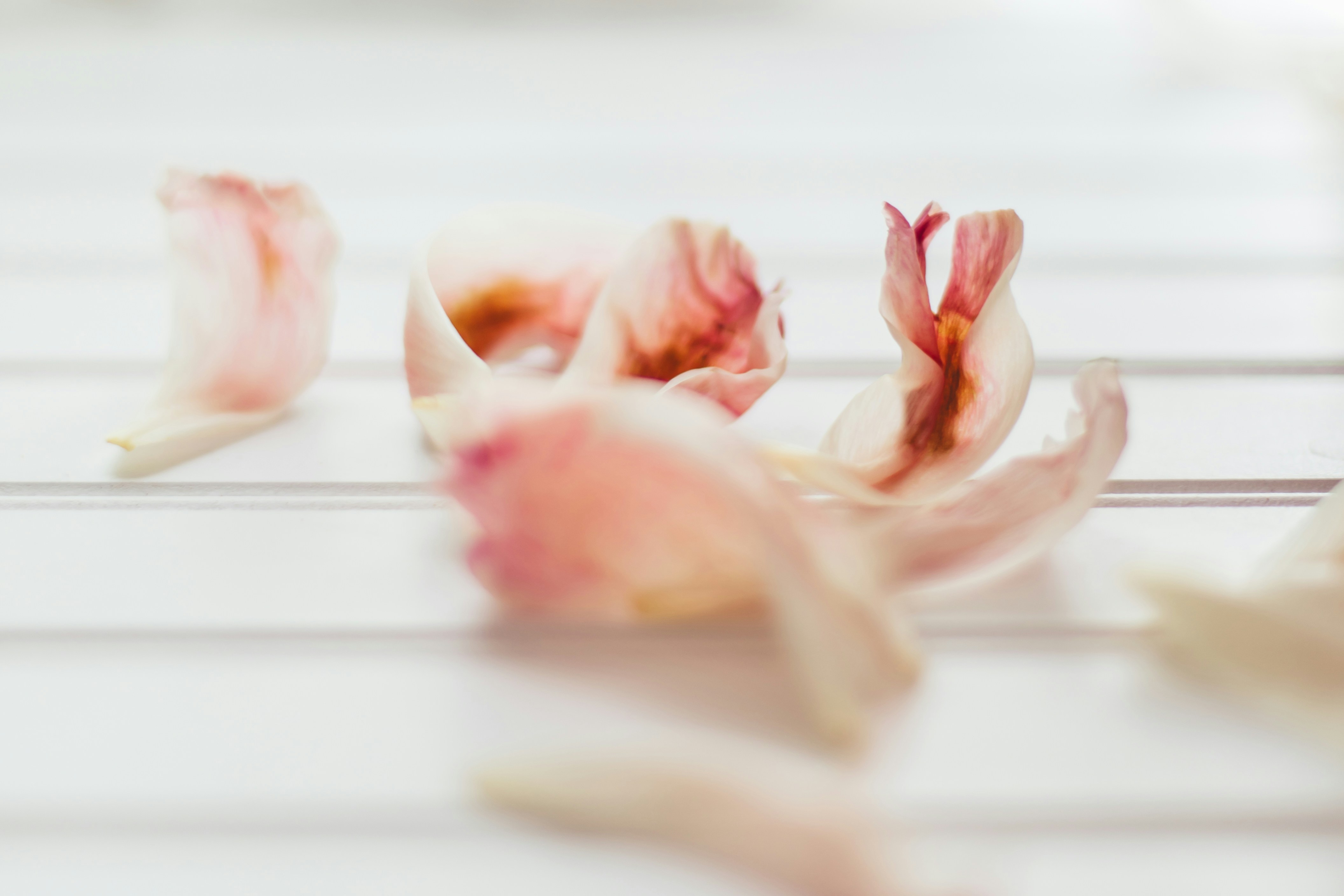 Photo by sixteenmilesout