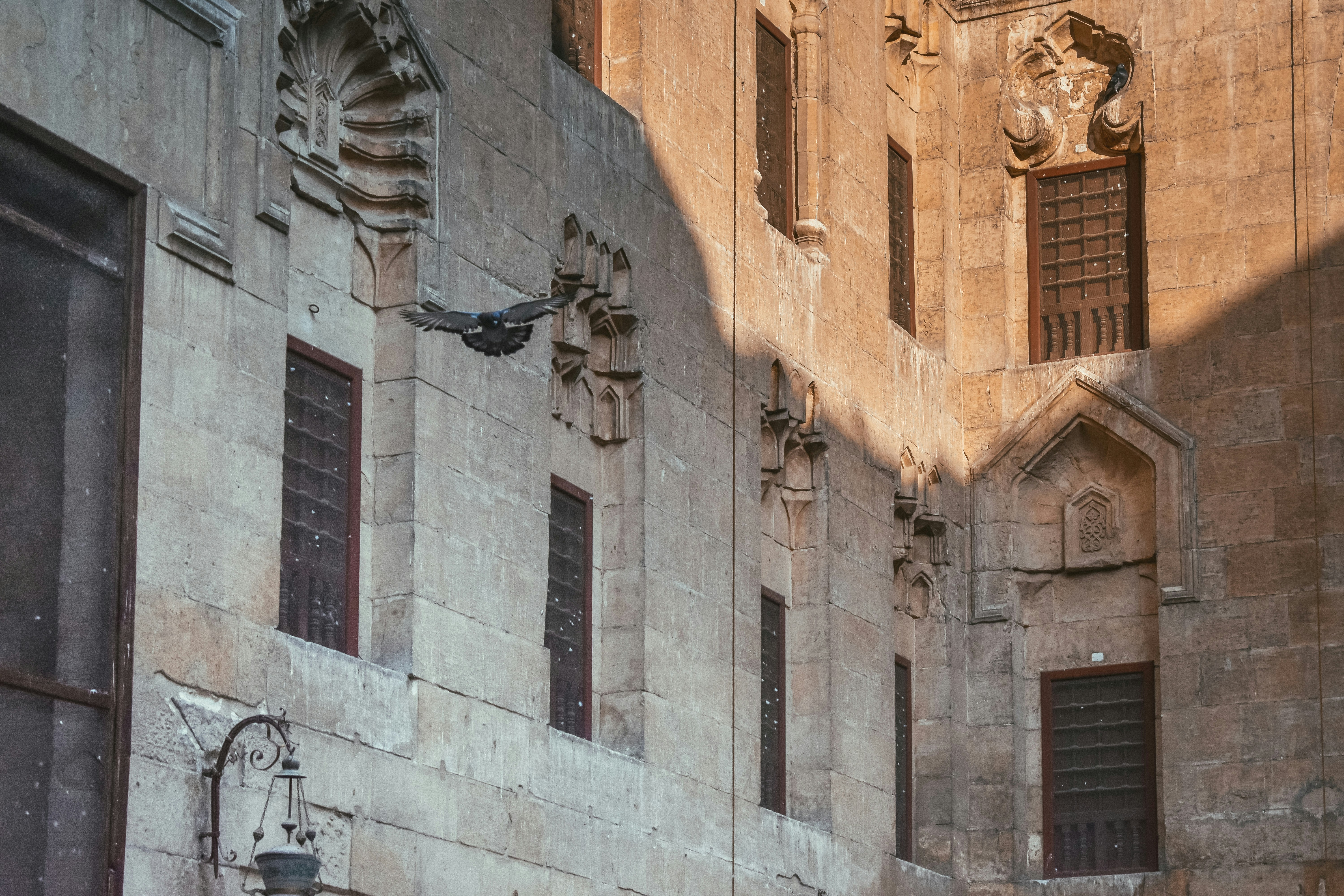 Photo by nourhan_m_sabek