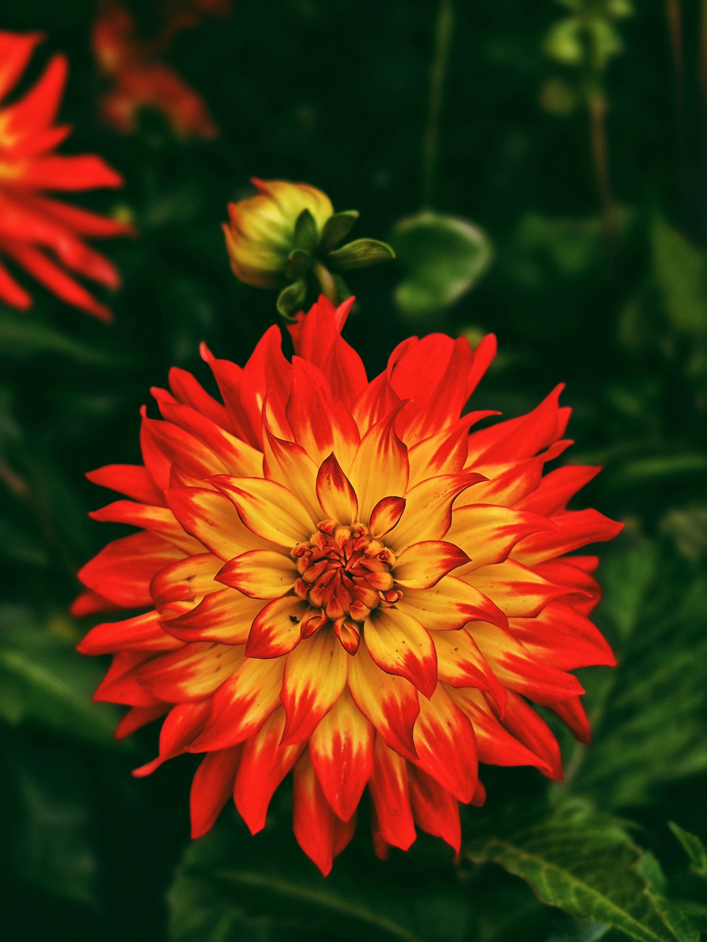 Photo by biancacecil