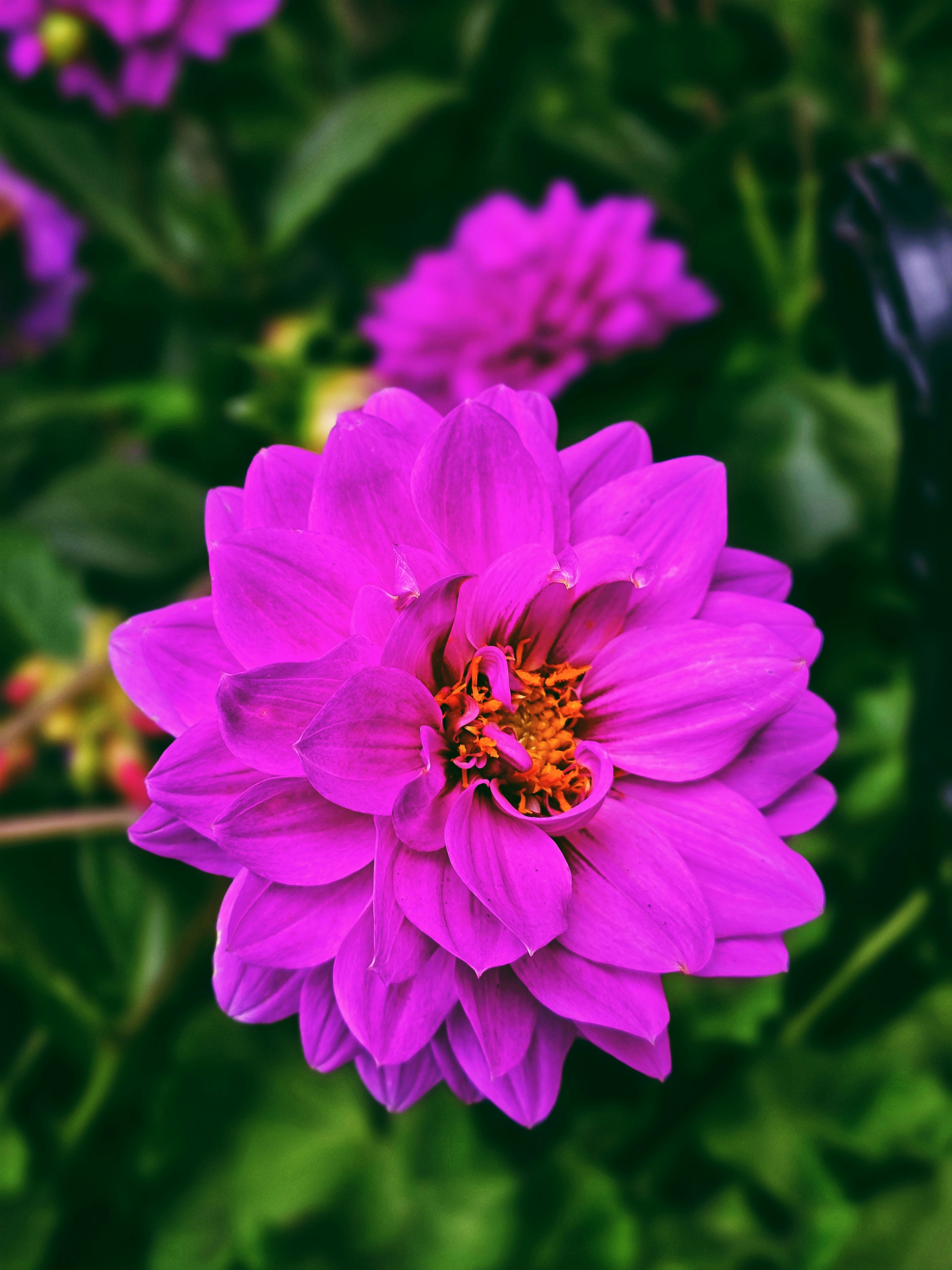 Photo by biancacecil