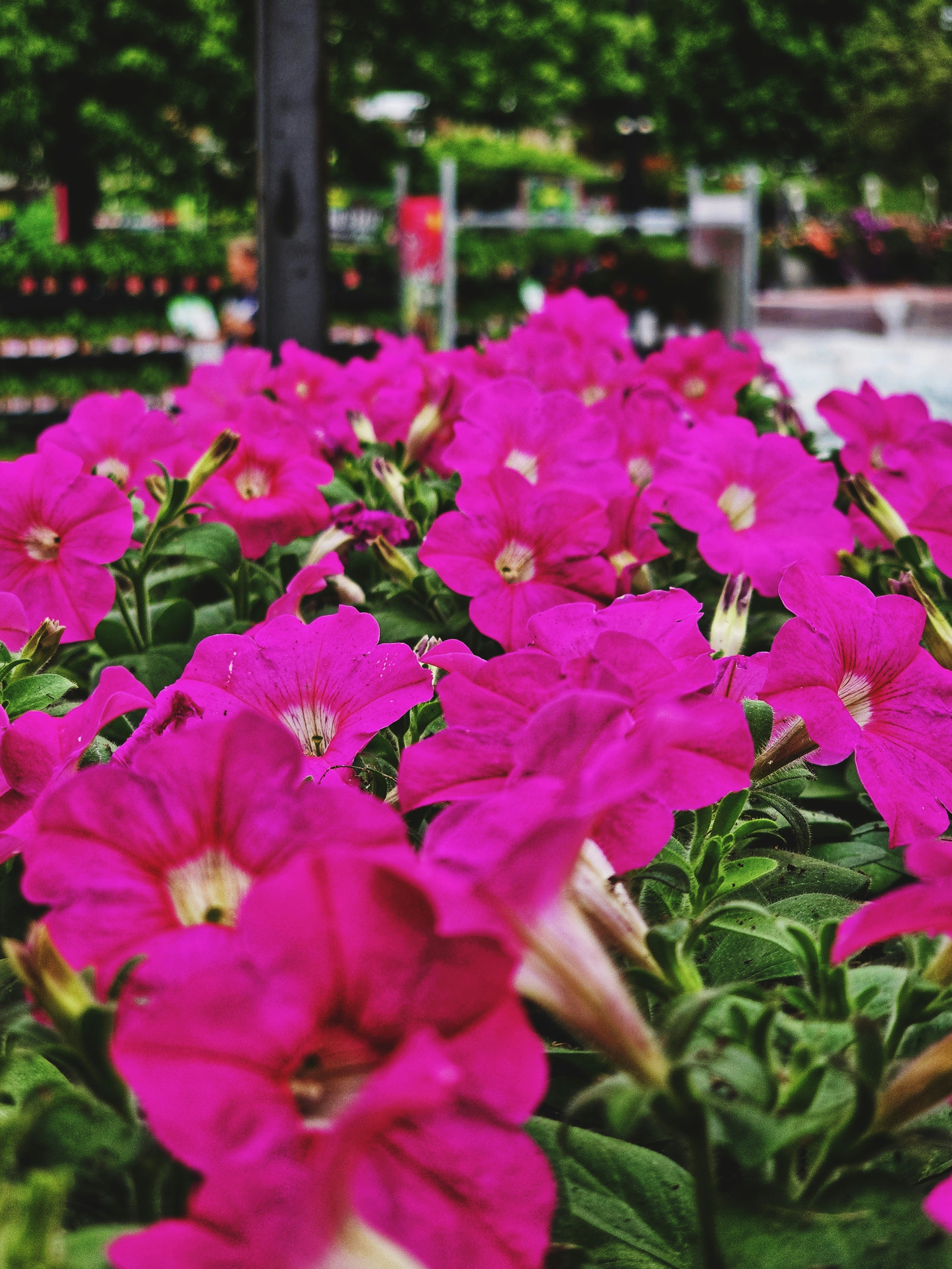 Photo by biancacecil