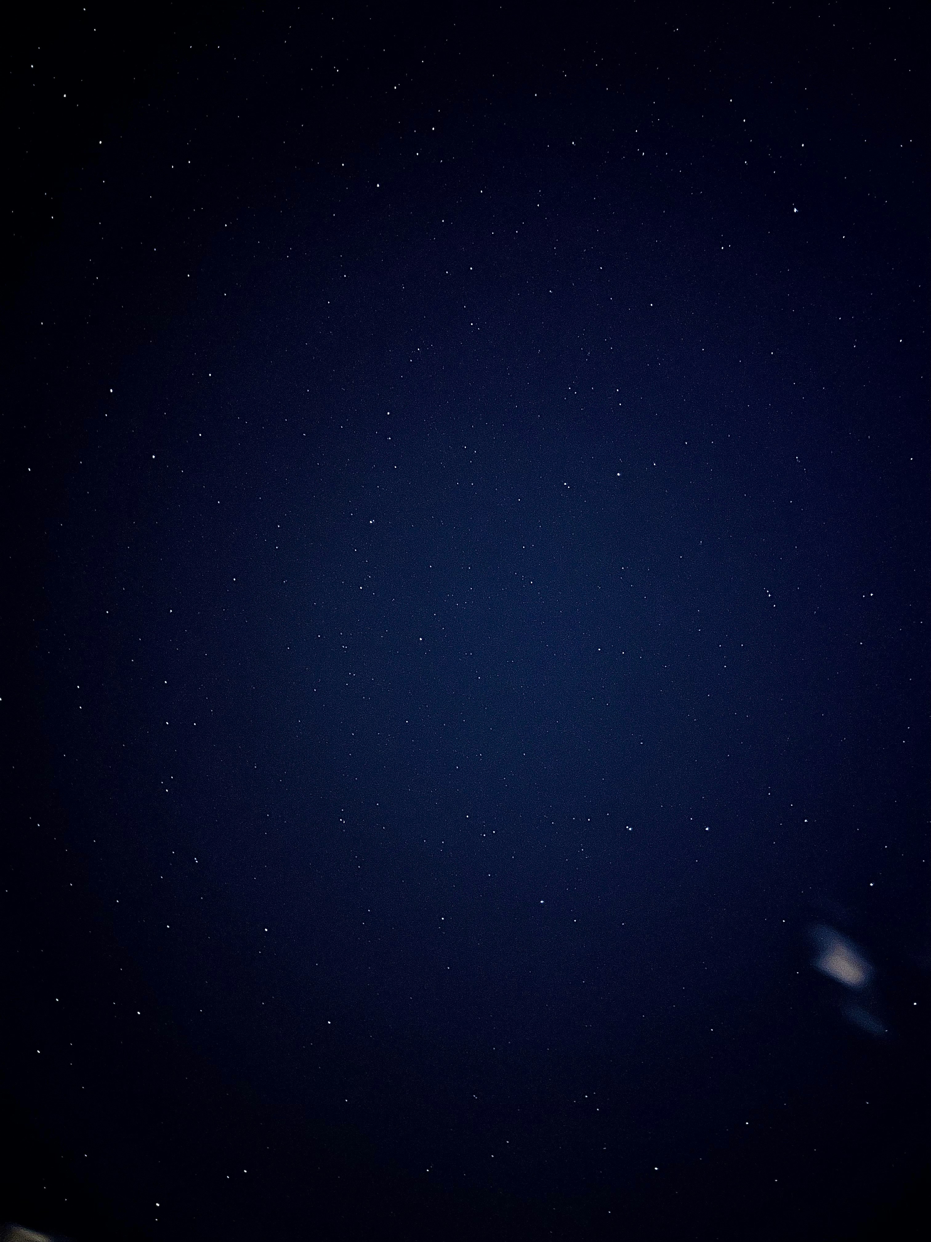 Photo by pollinaria_m