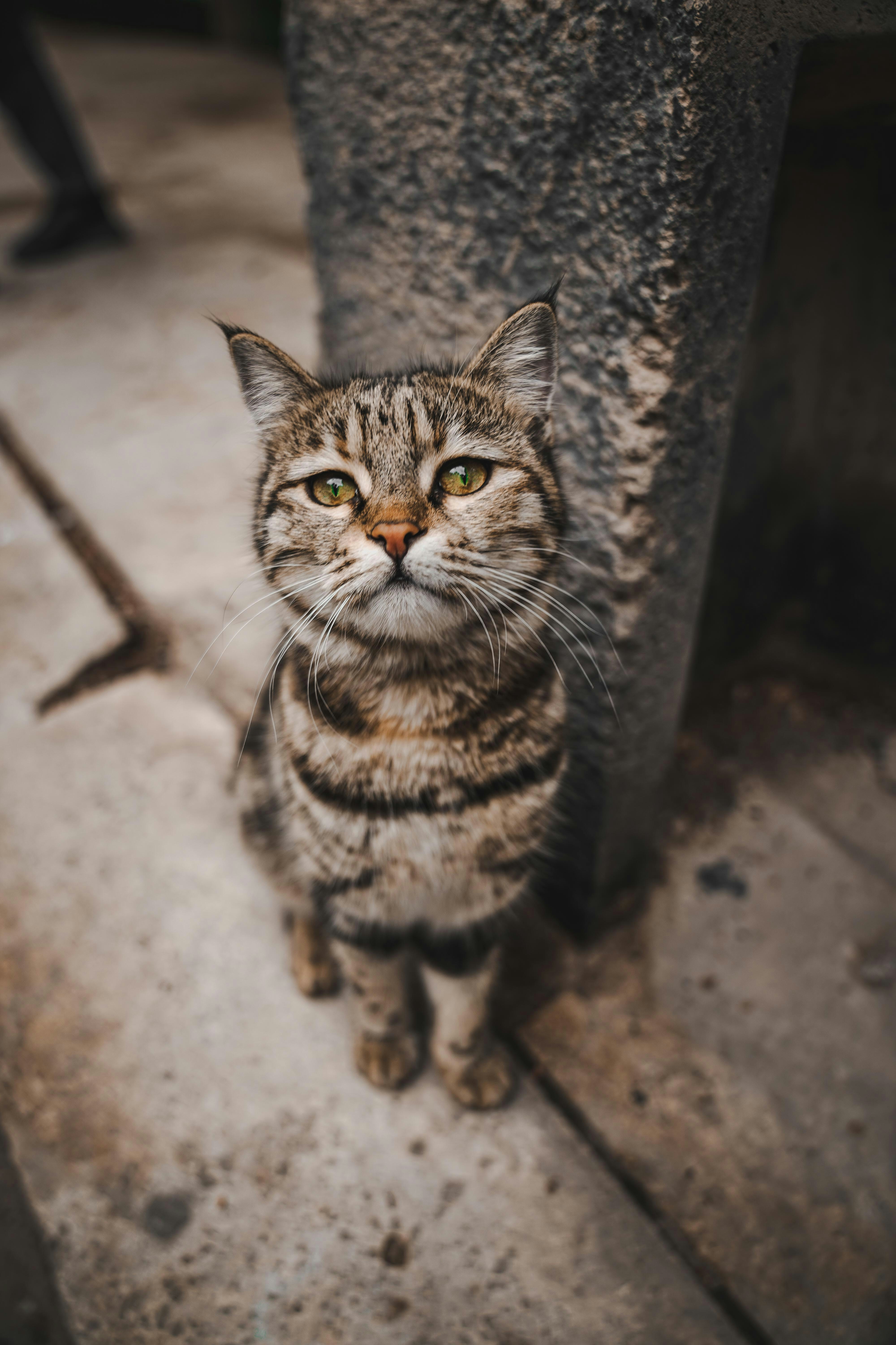 Photo by samirdezhangah