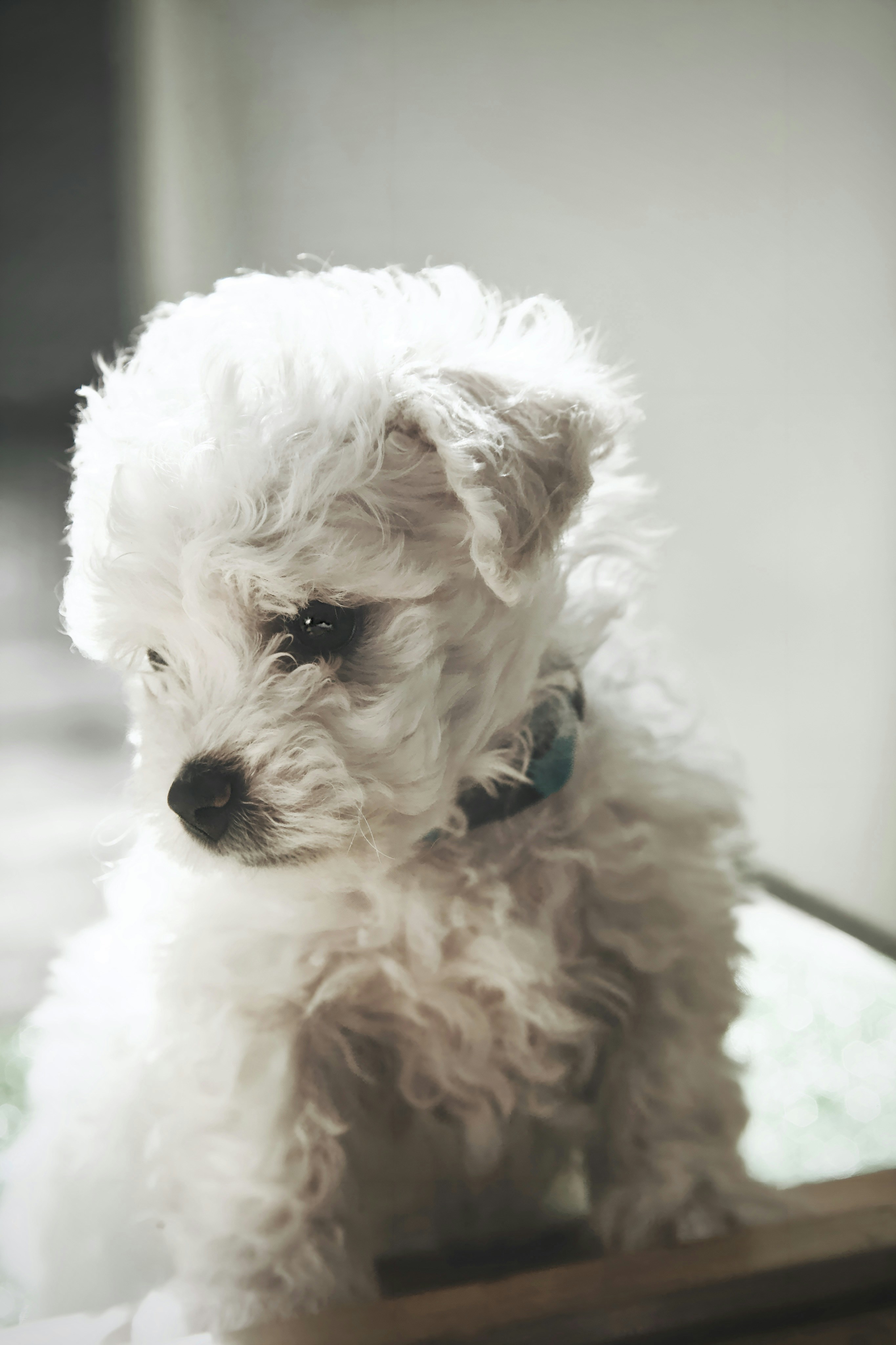 Photo by kristinokarlsen