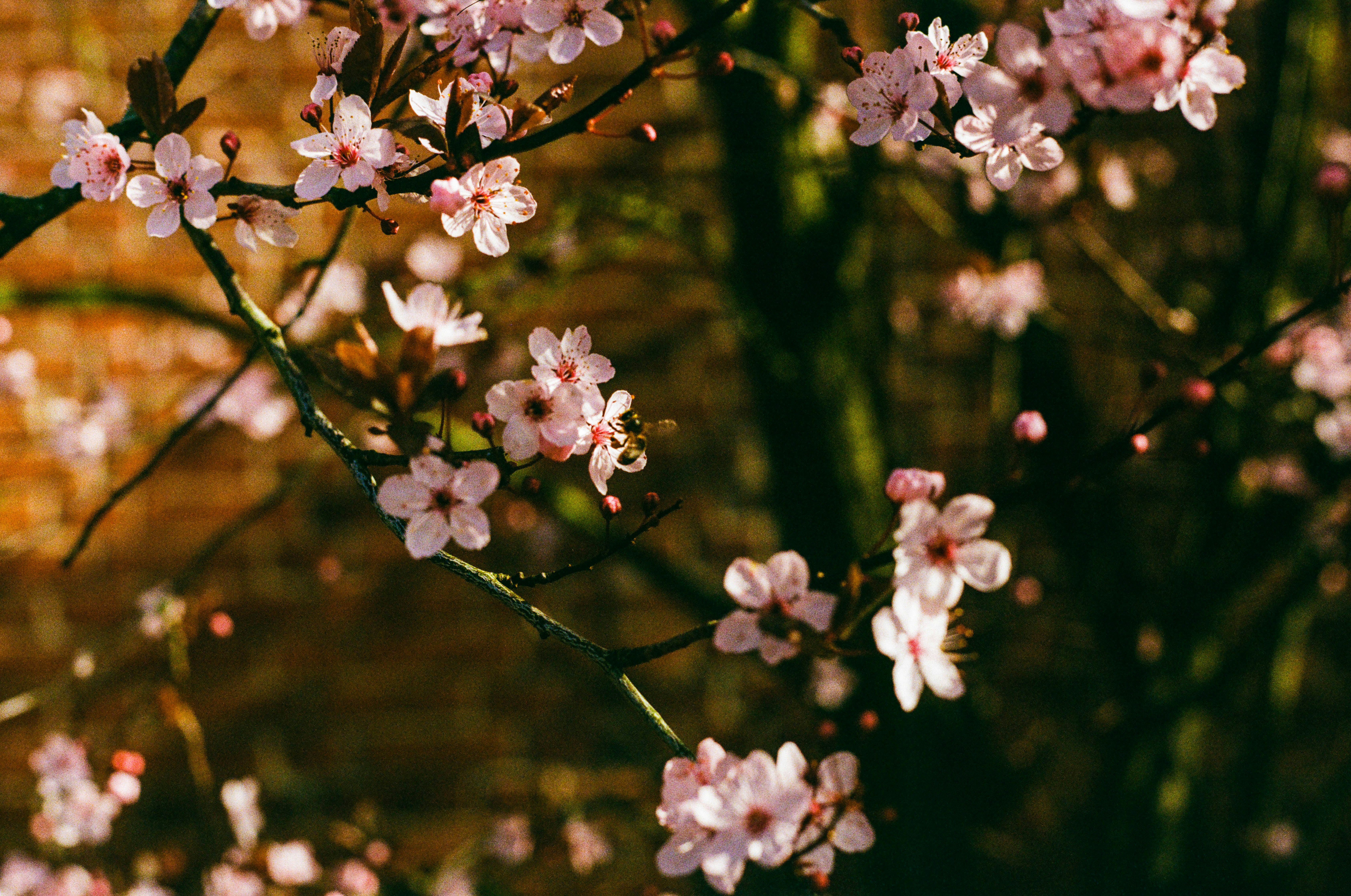 Photo by bernhardbar