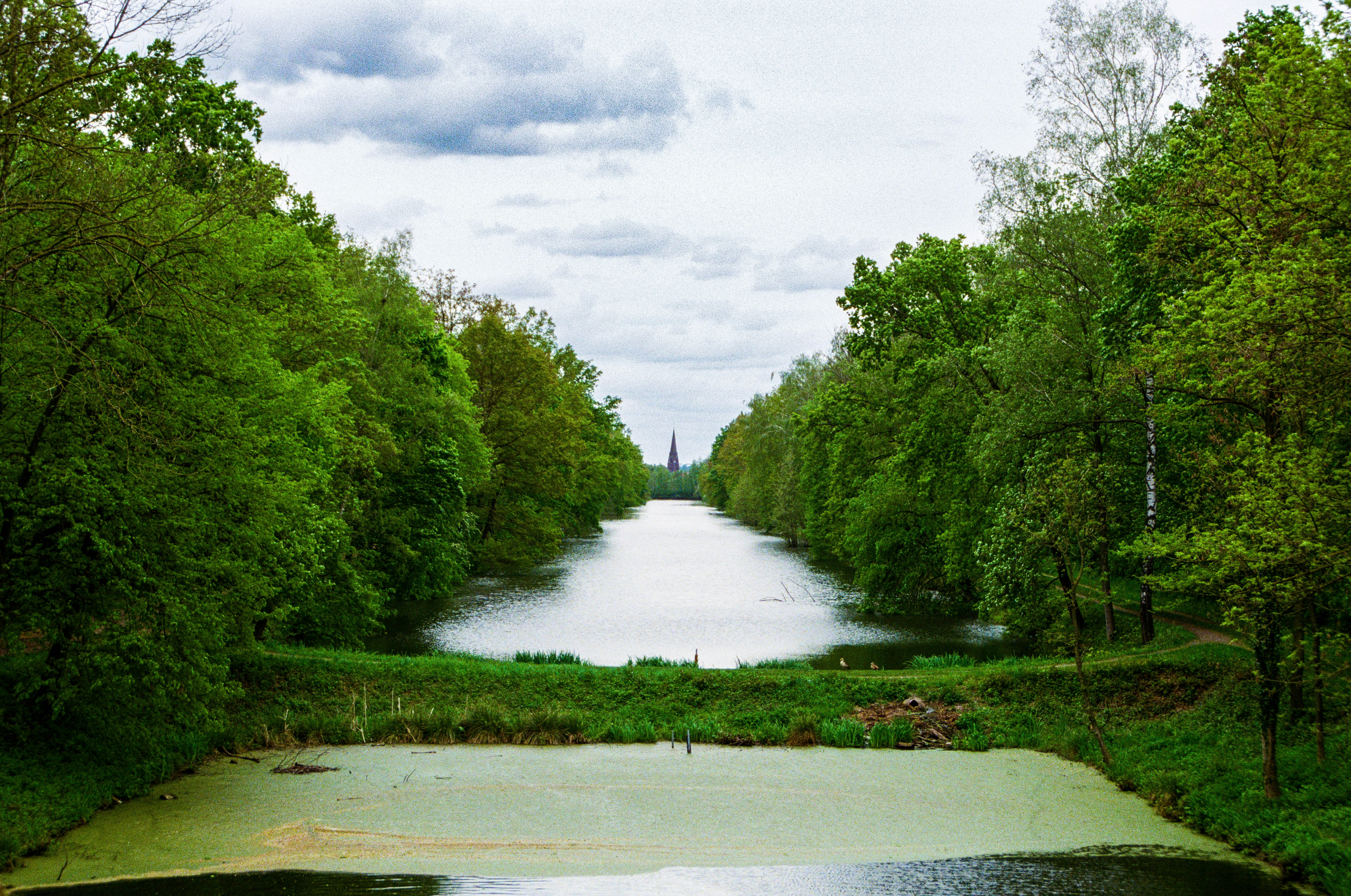 a body of water surrounded by lush green trees