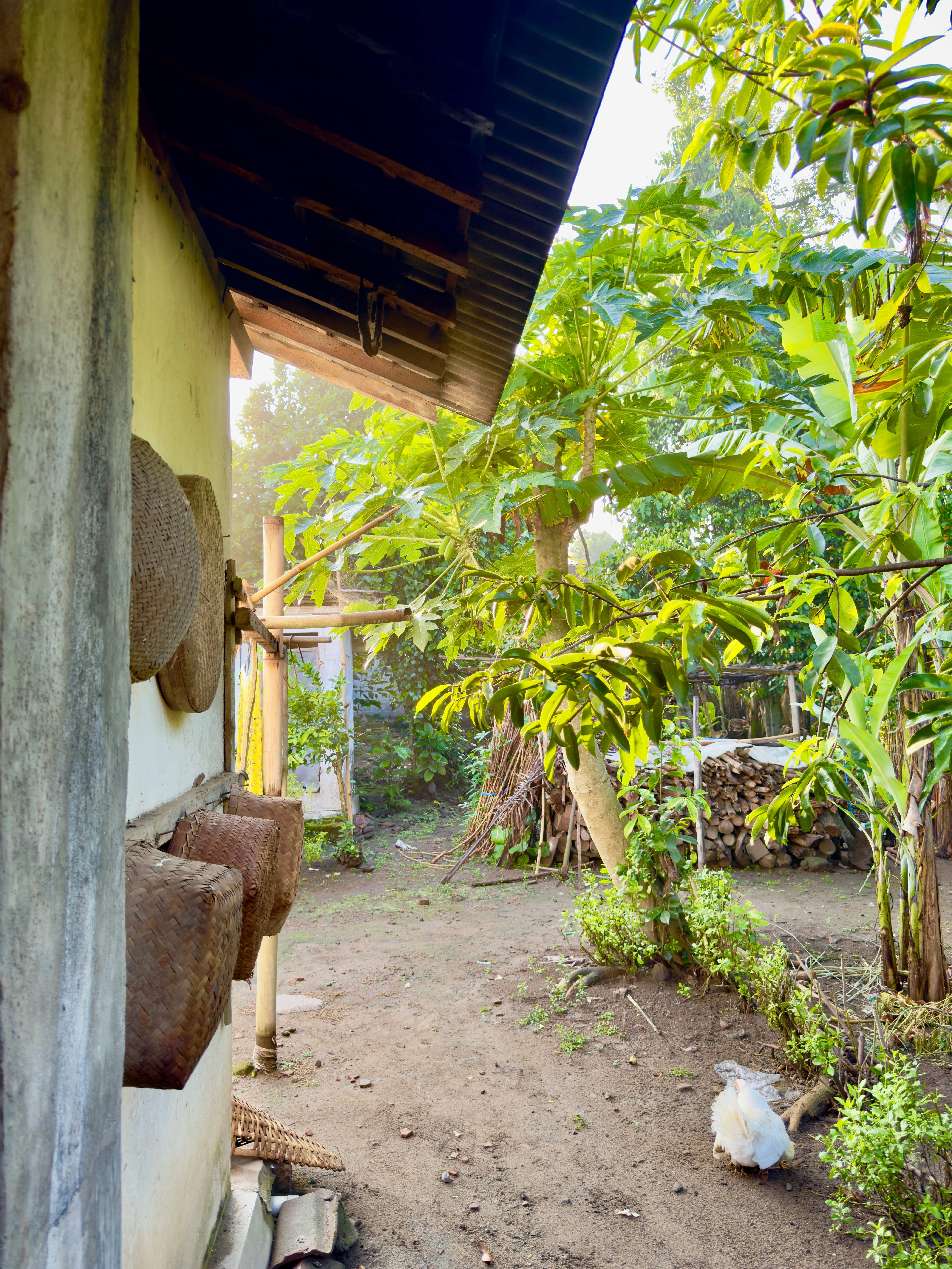 Photo by bustomi_fero