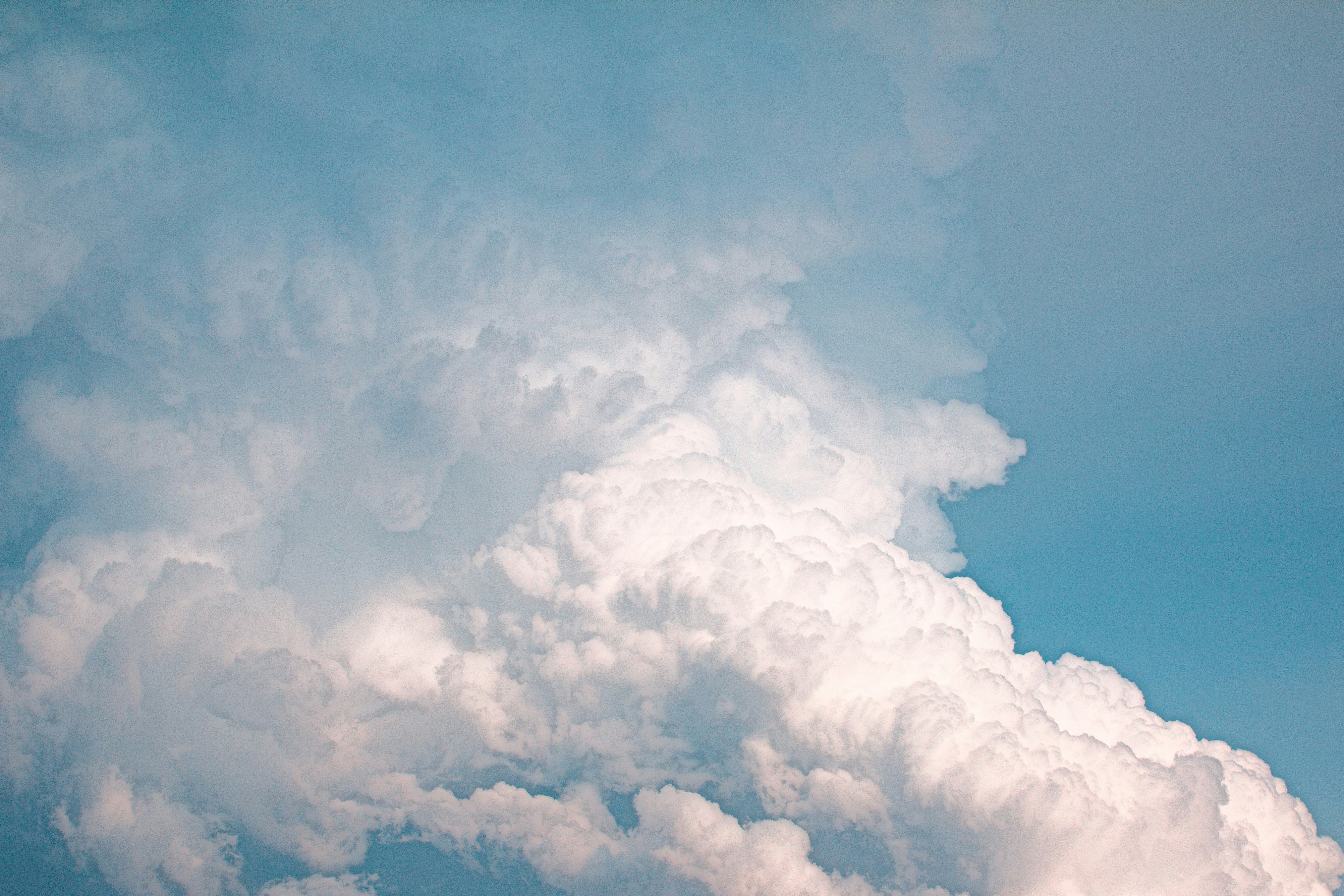 Photo by jodiegowens