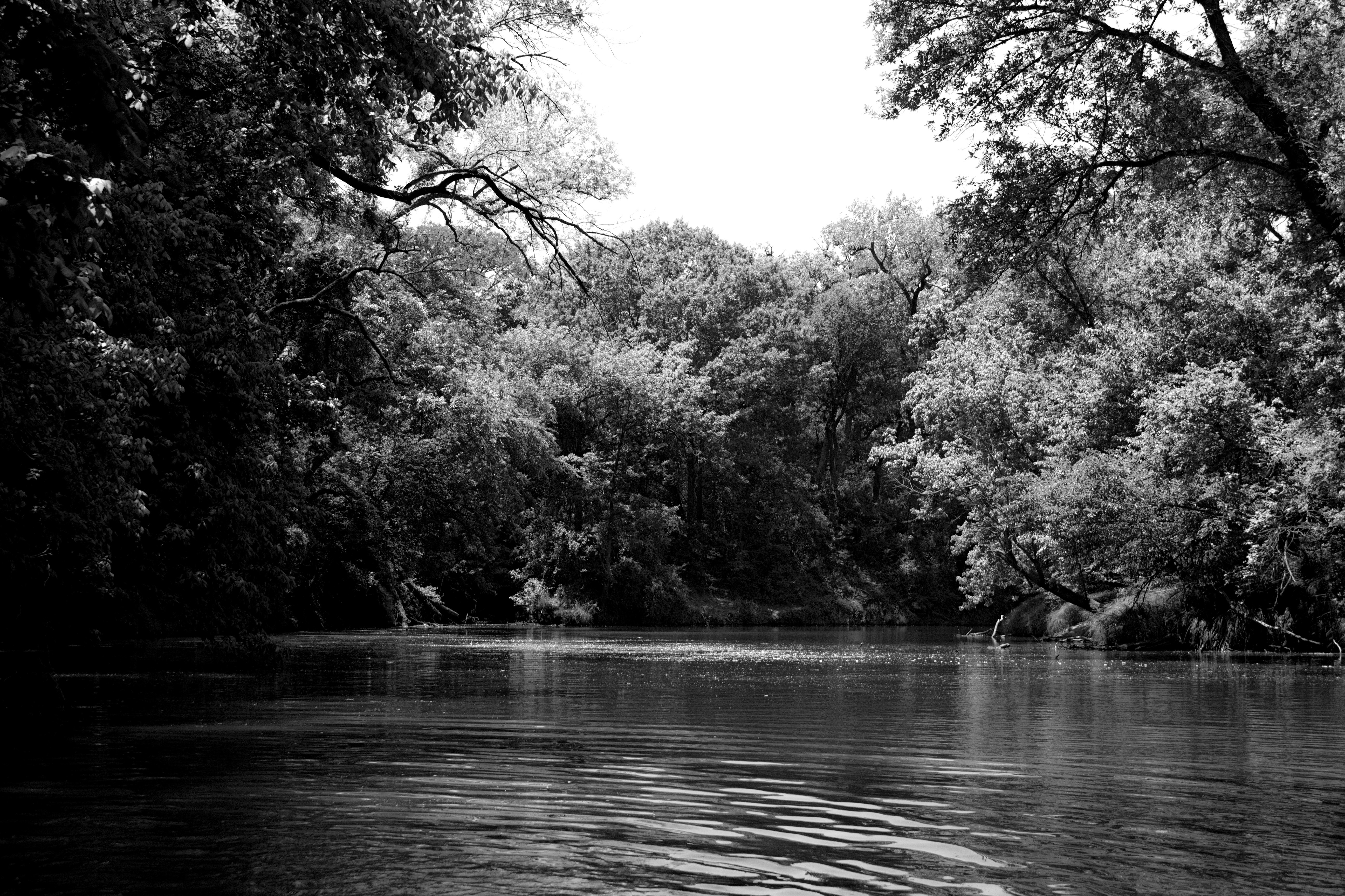 Photo by jodiegowens