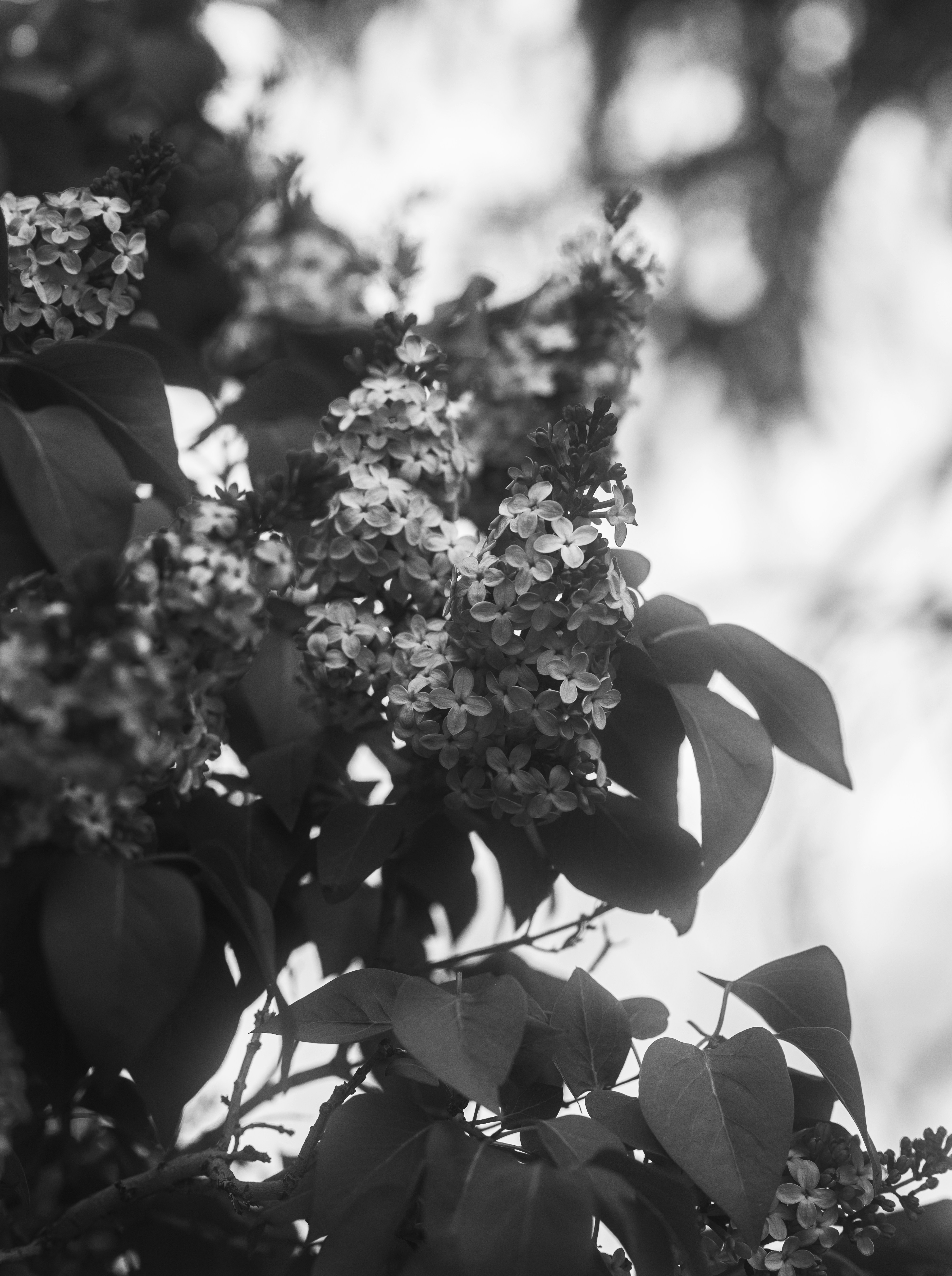 Photo by tayannphoto