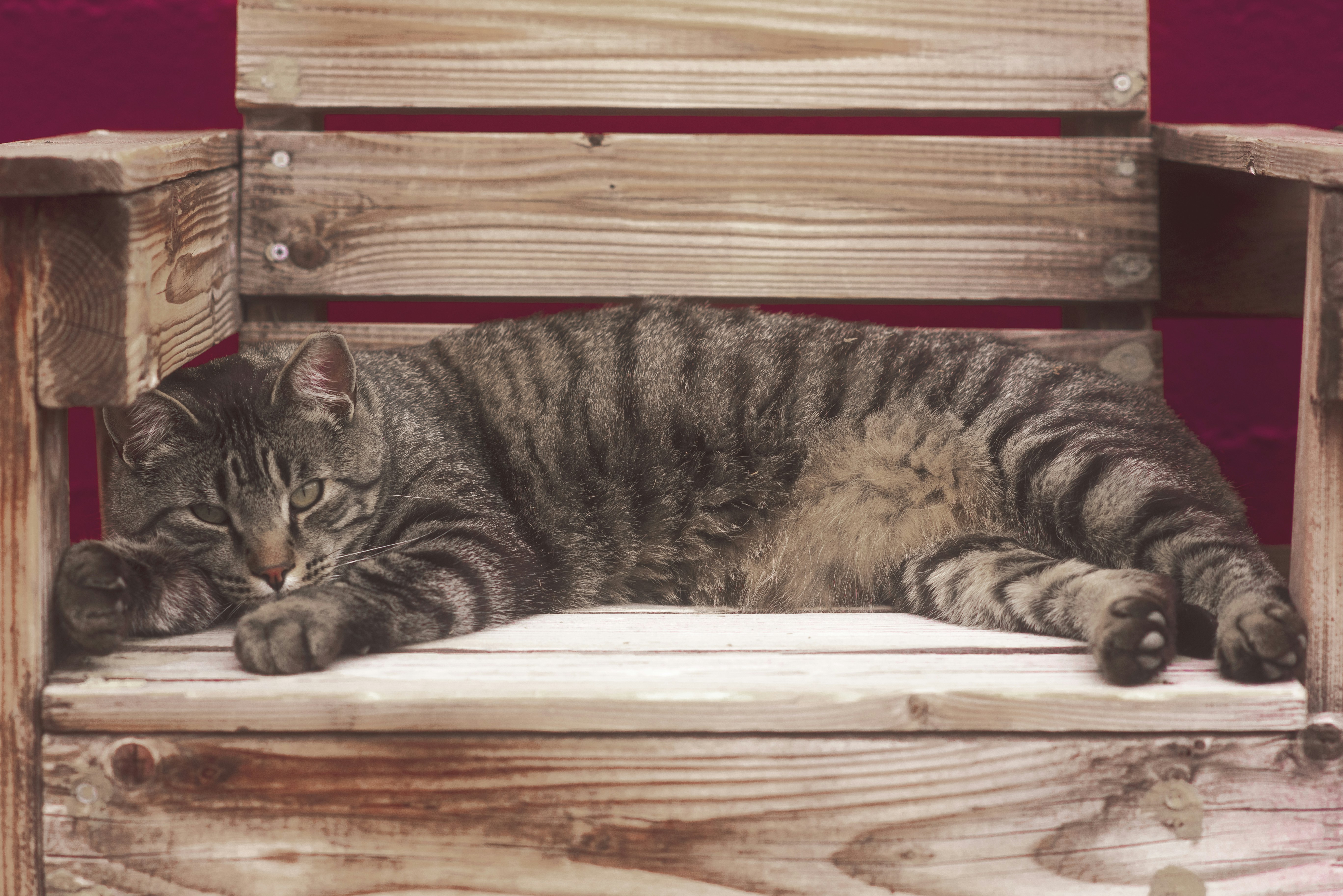 Photo by tayannphoto