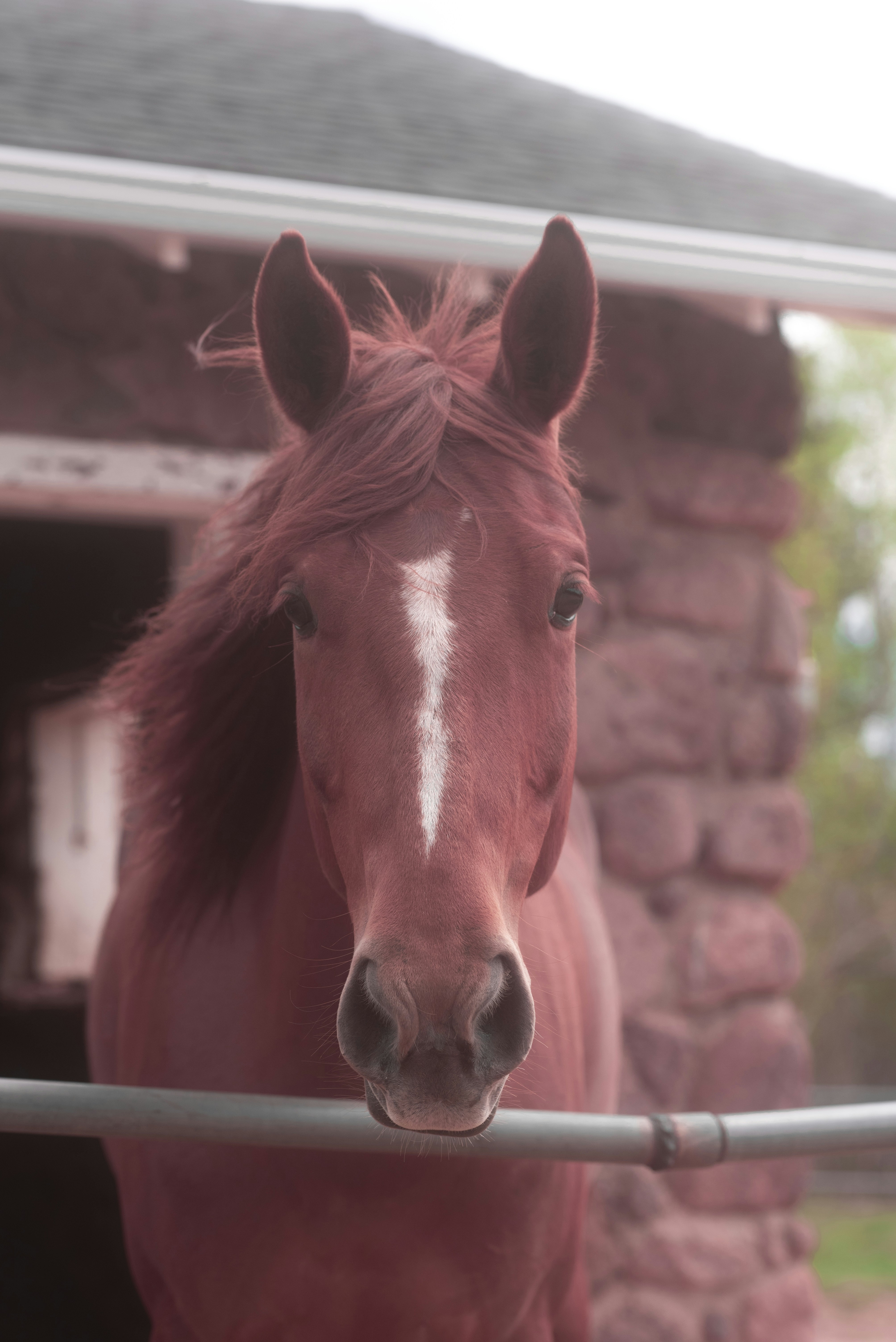 Photo by tayannphoto