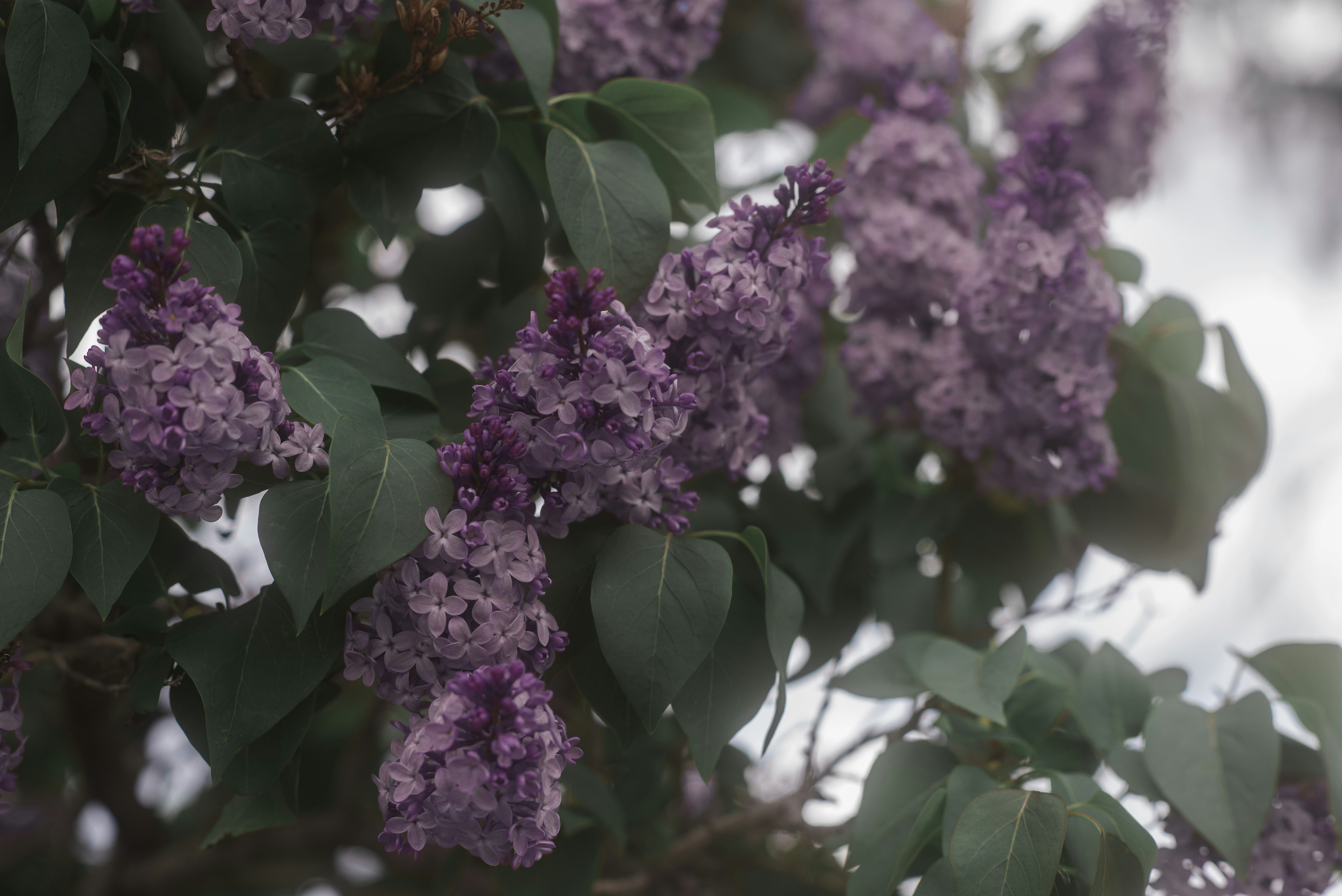 Photo by tayannphoto