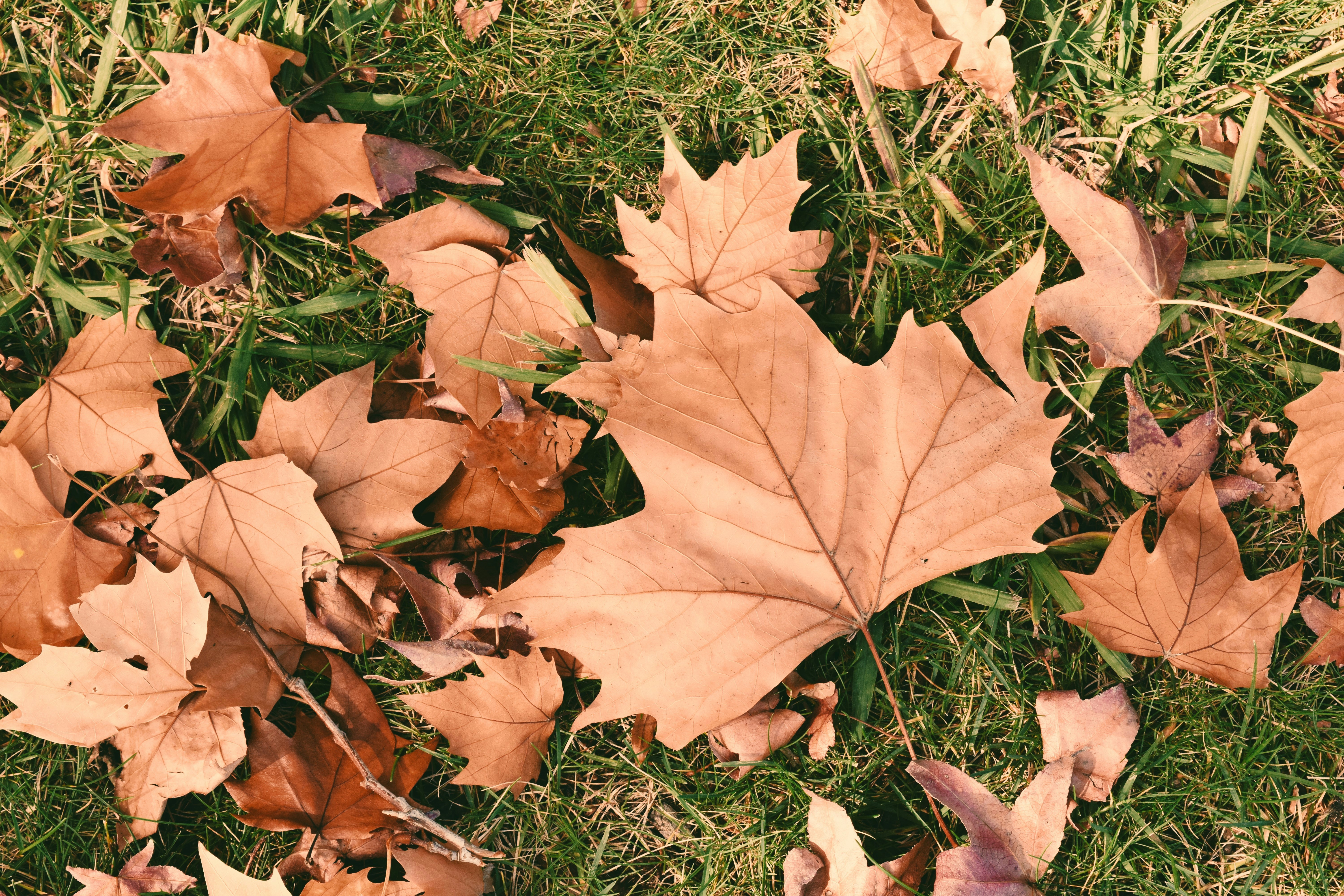 Photo by ch_photography