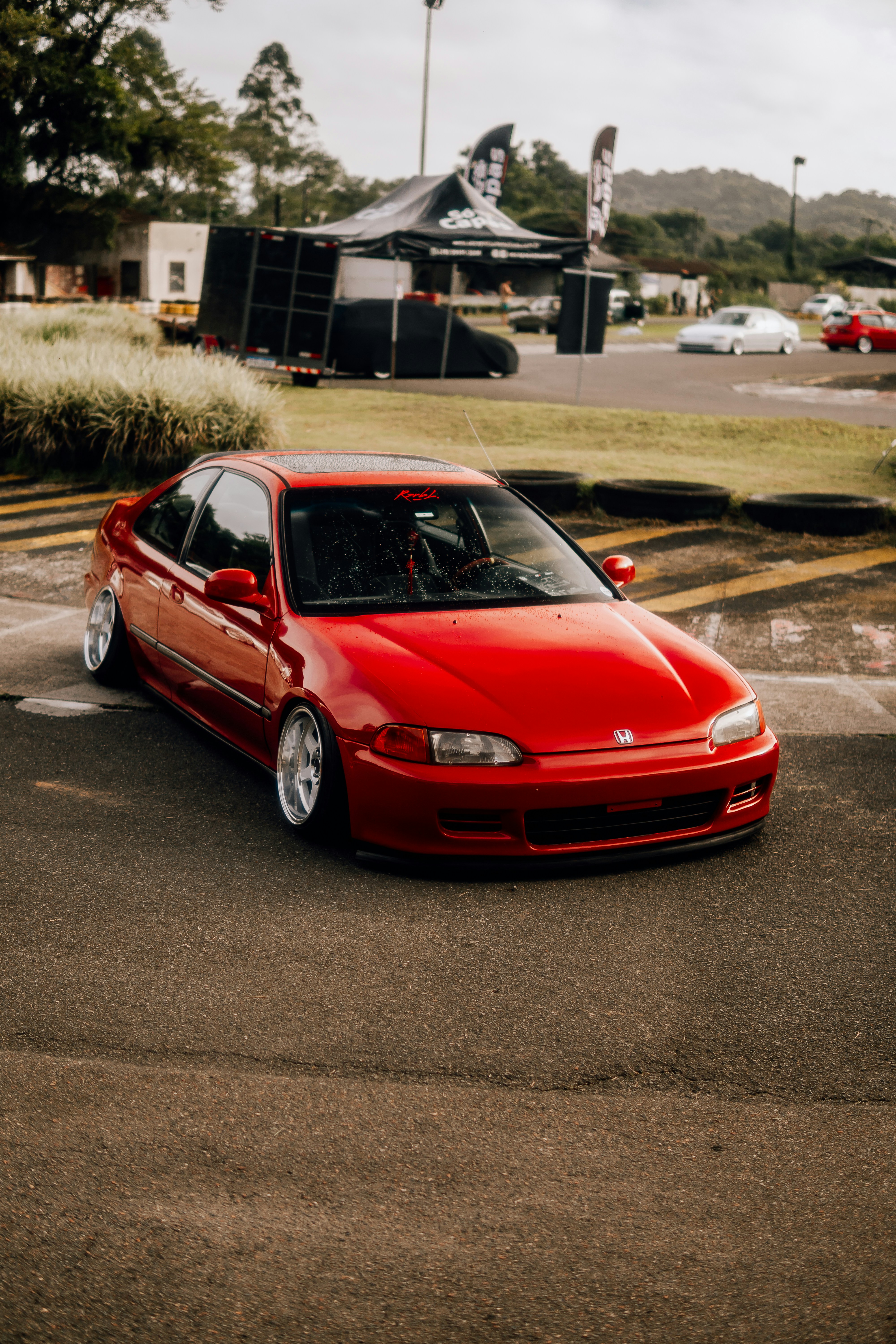 Alternative text for describing the image displayed