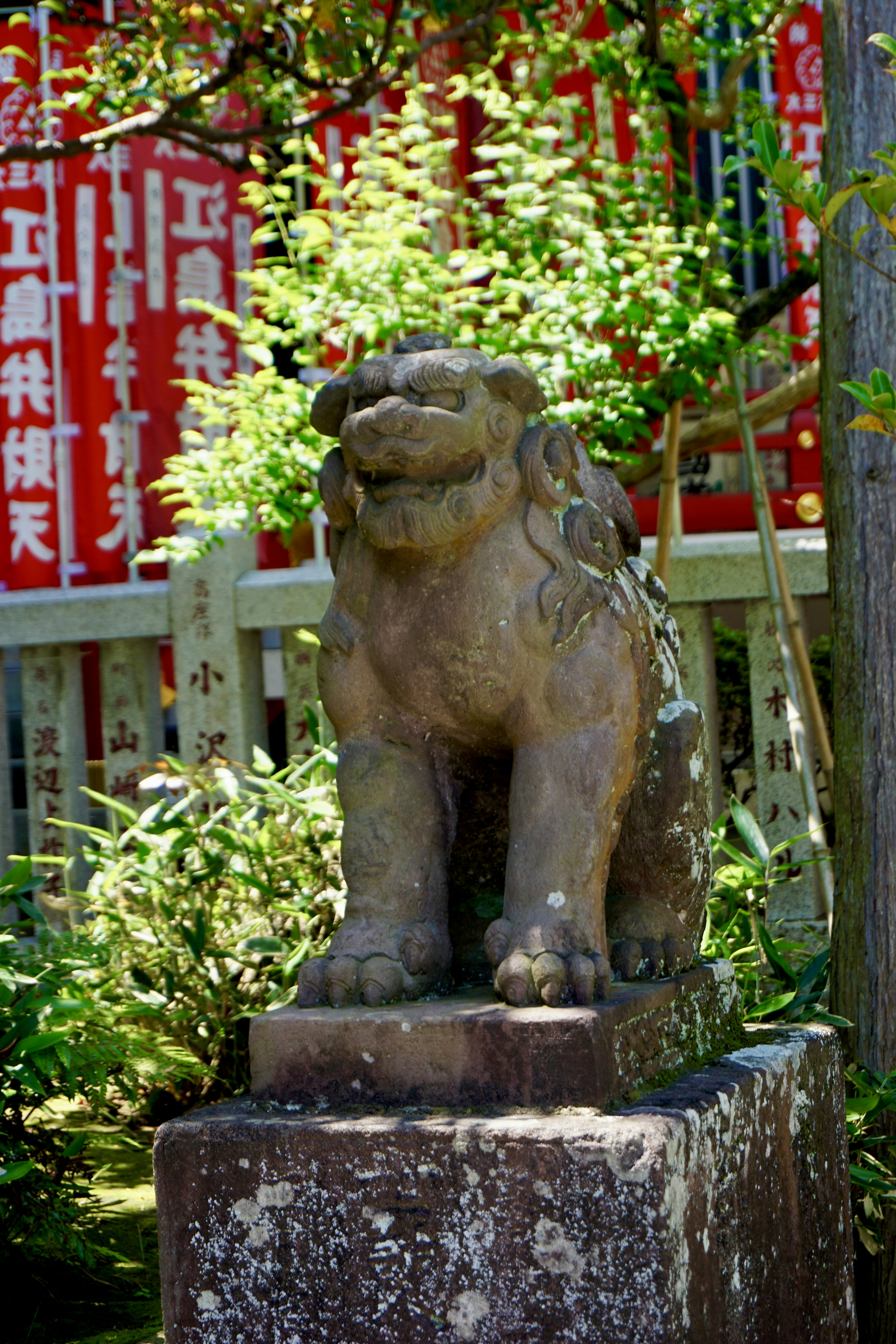 Photo by syria_polidoro