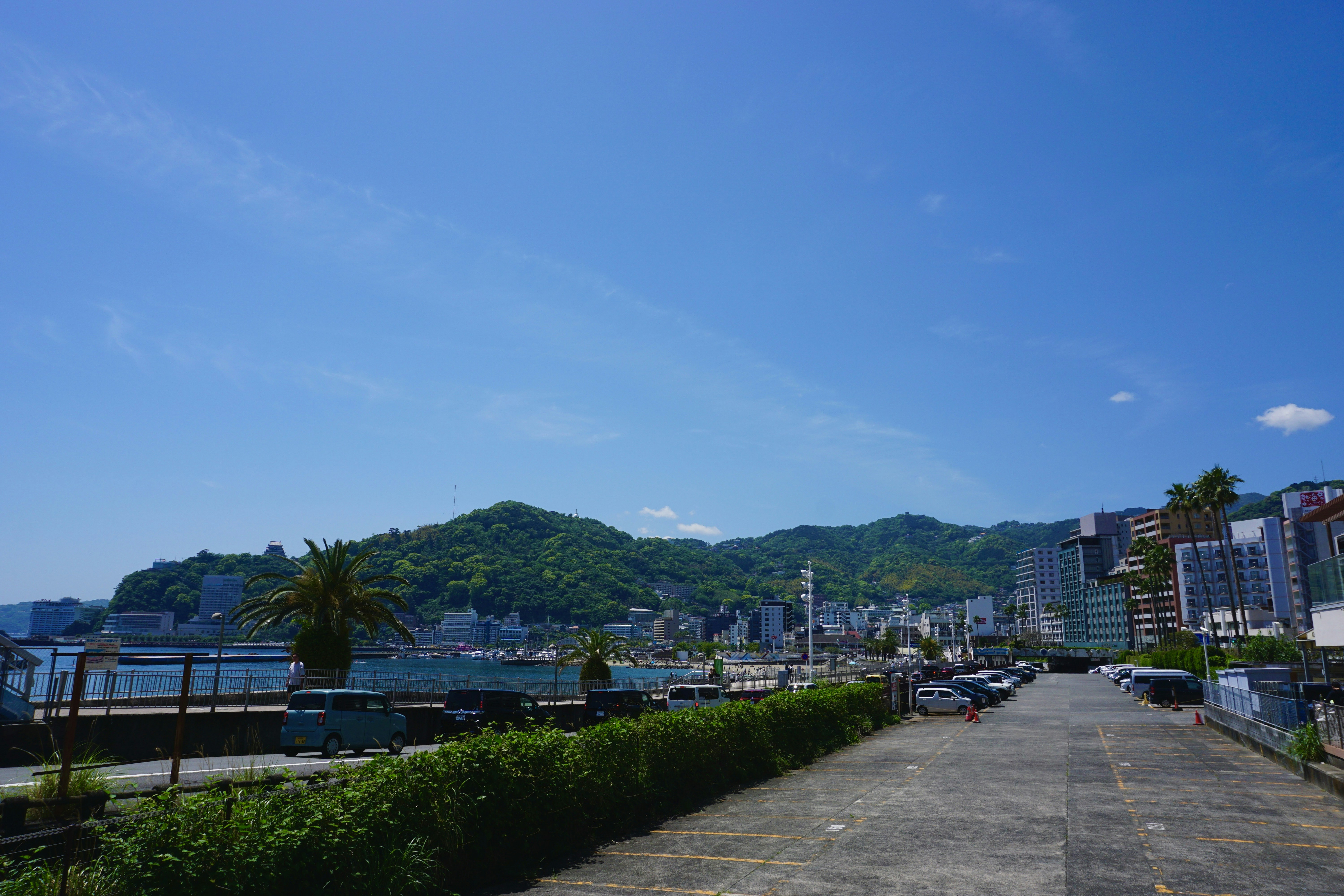 Photo by syria_polidoro