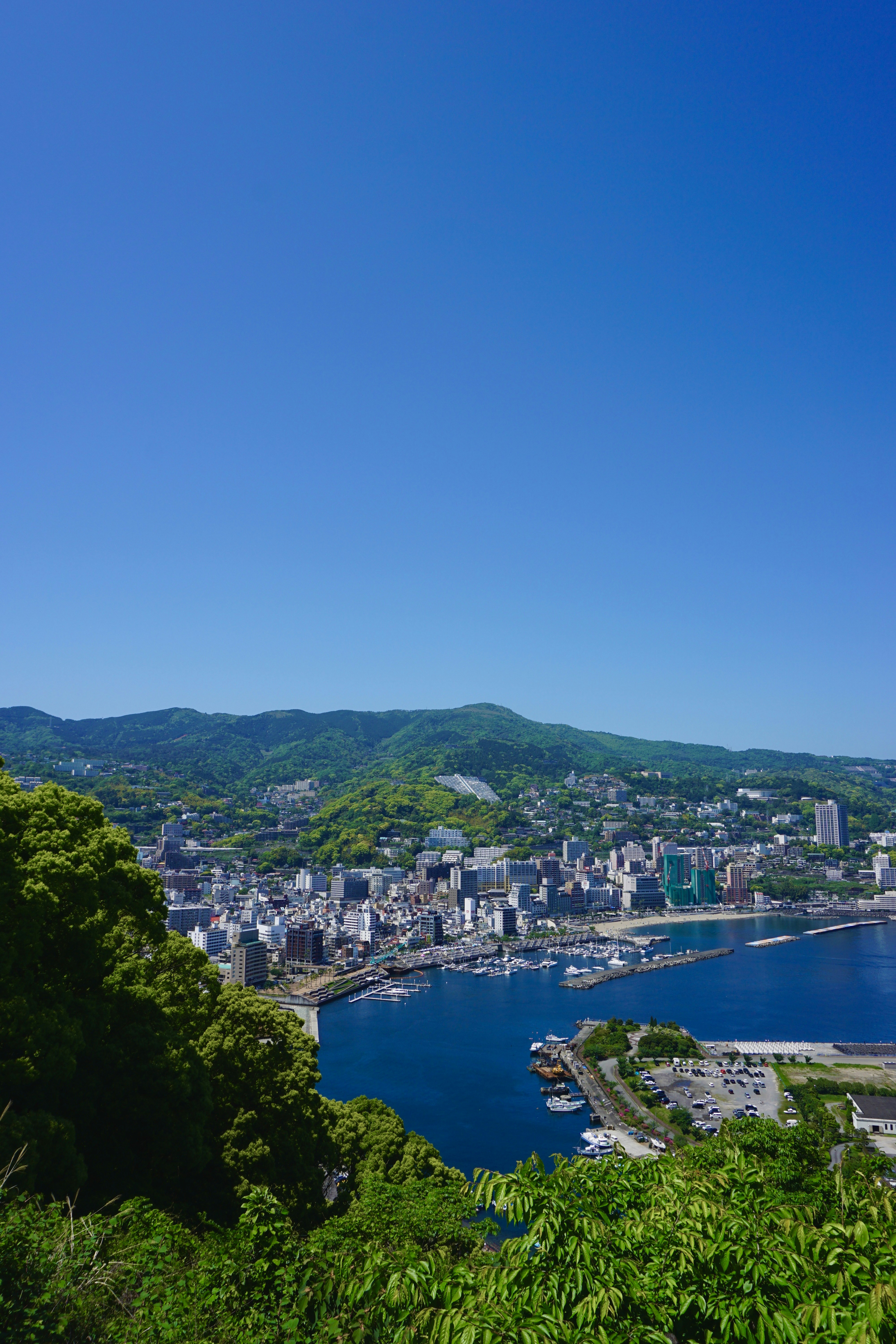 Photo by syria_polidoro