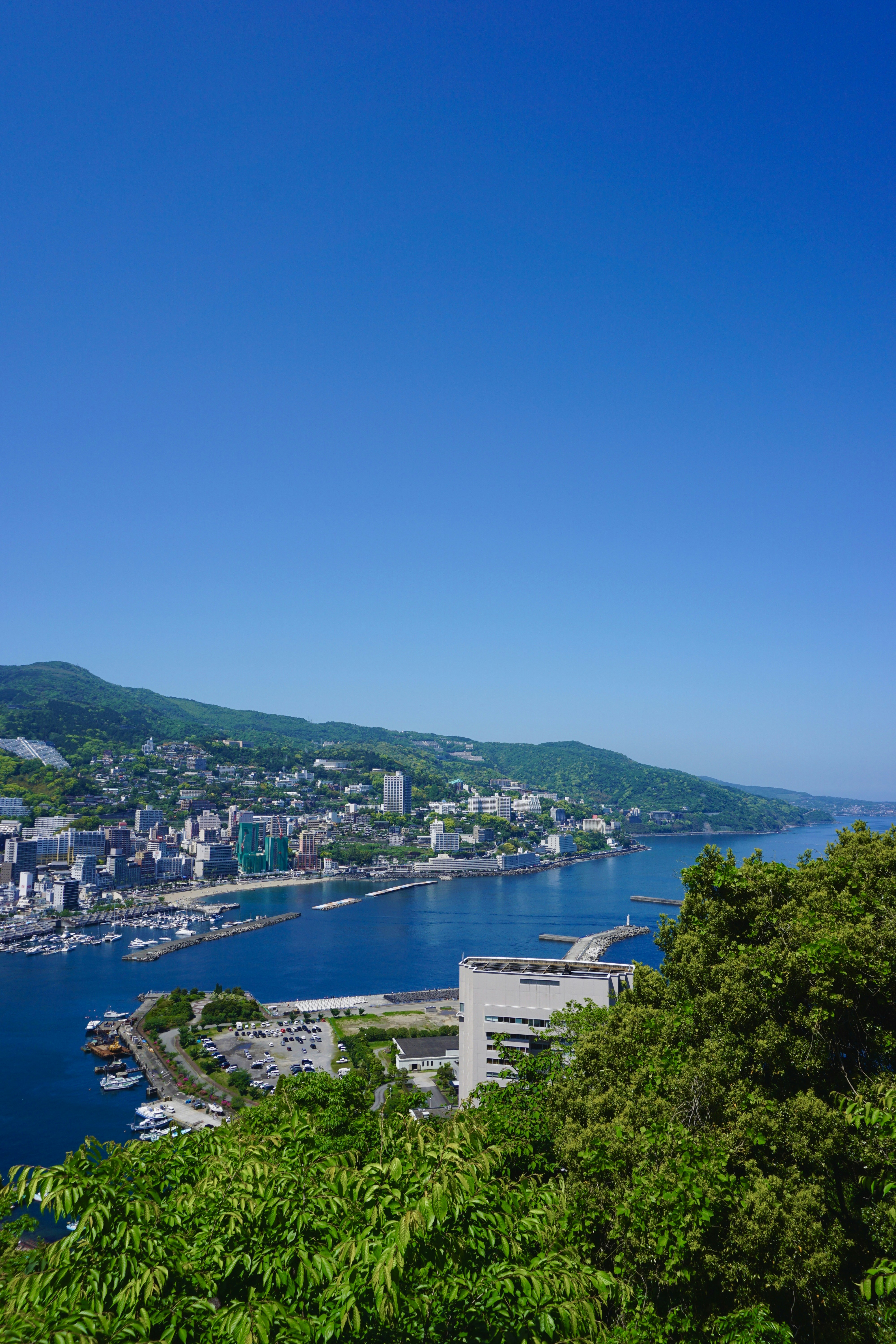 Photo by syria_polidoro