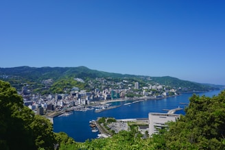 a large body of water with a city in the background