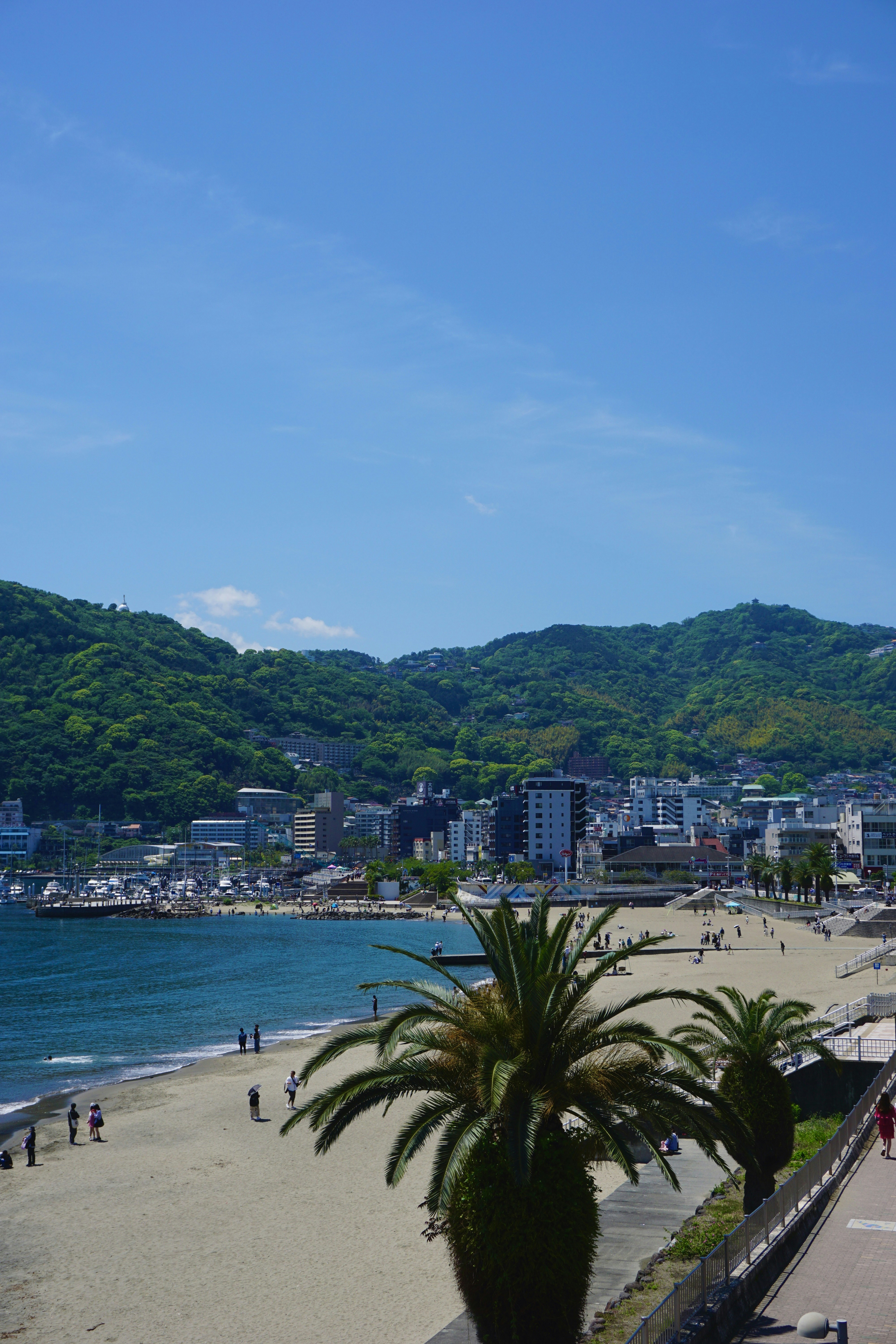 Photo by syria_polidoro