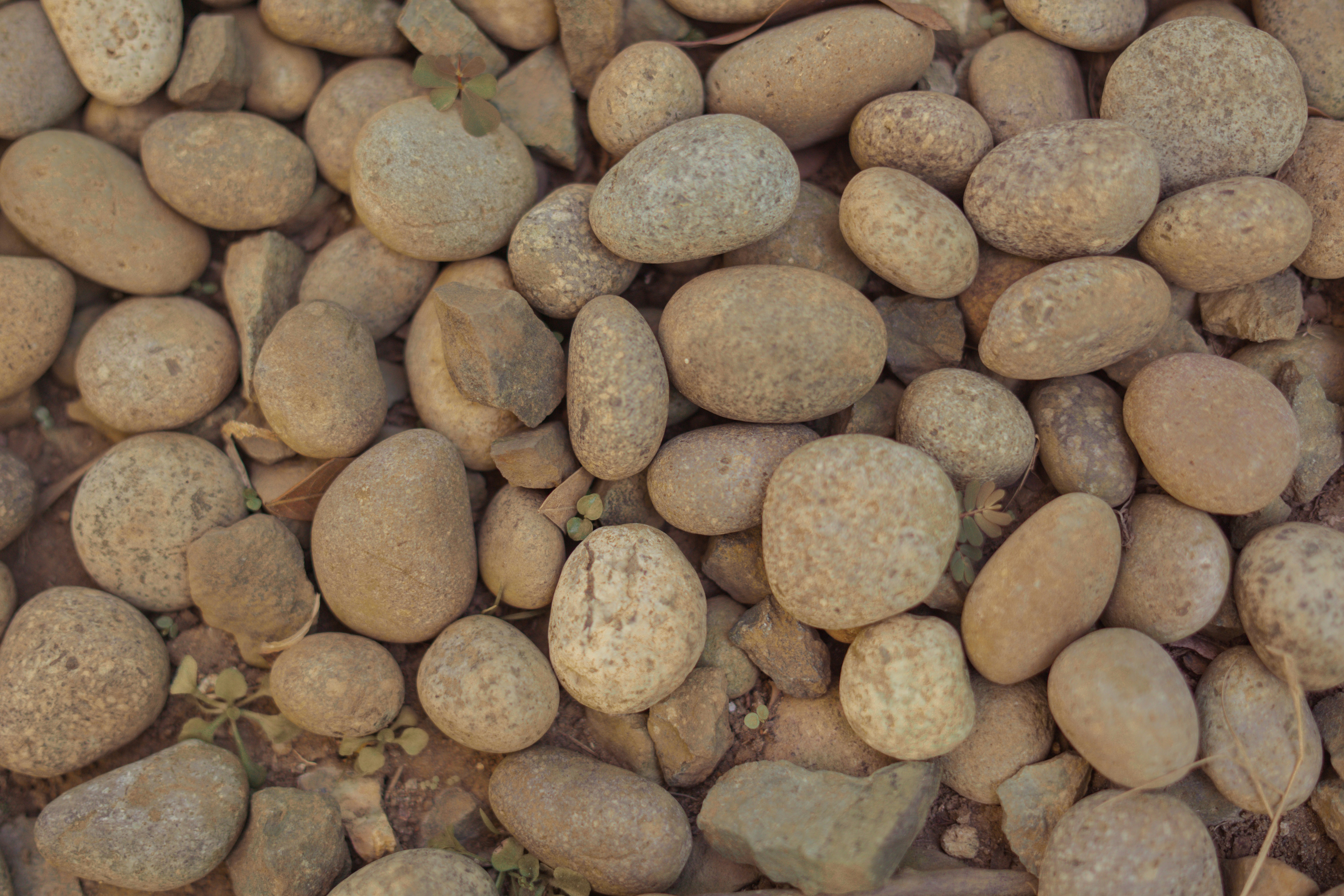 Photo by juliussalazar