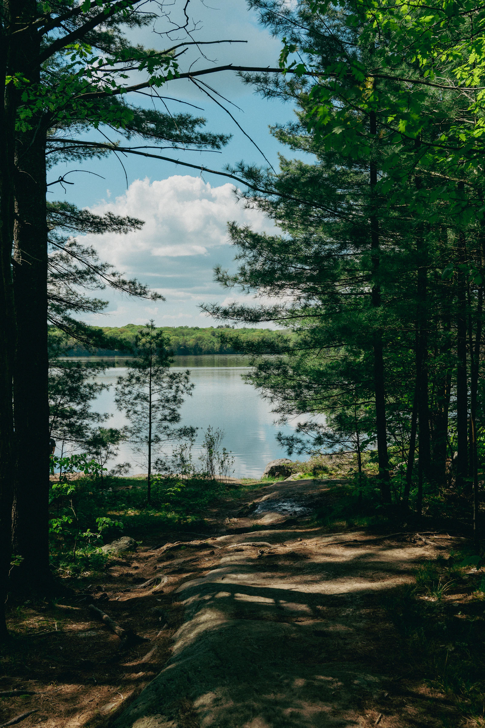 Nearby Ontario