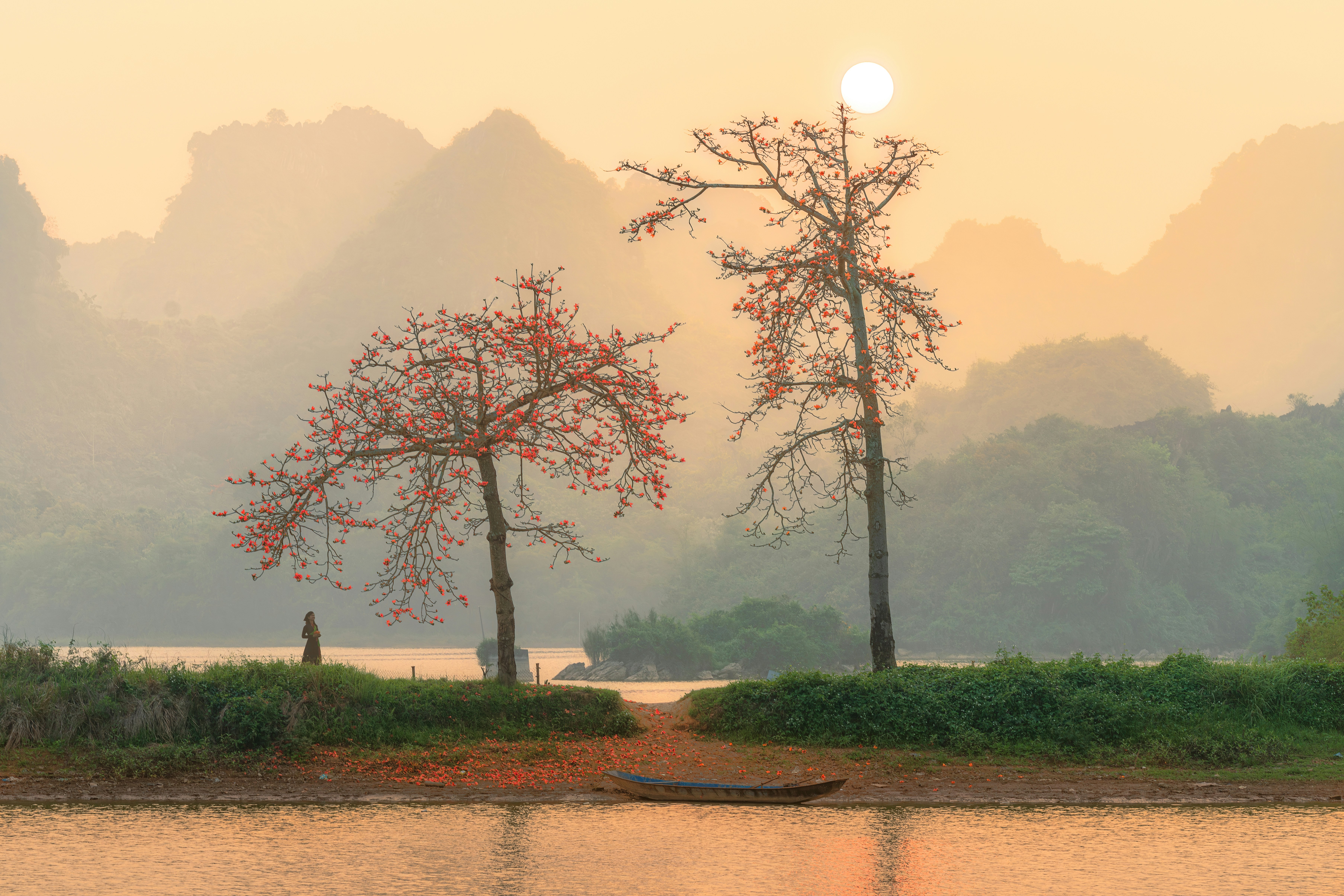 a small boat on a river near some trees