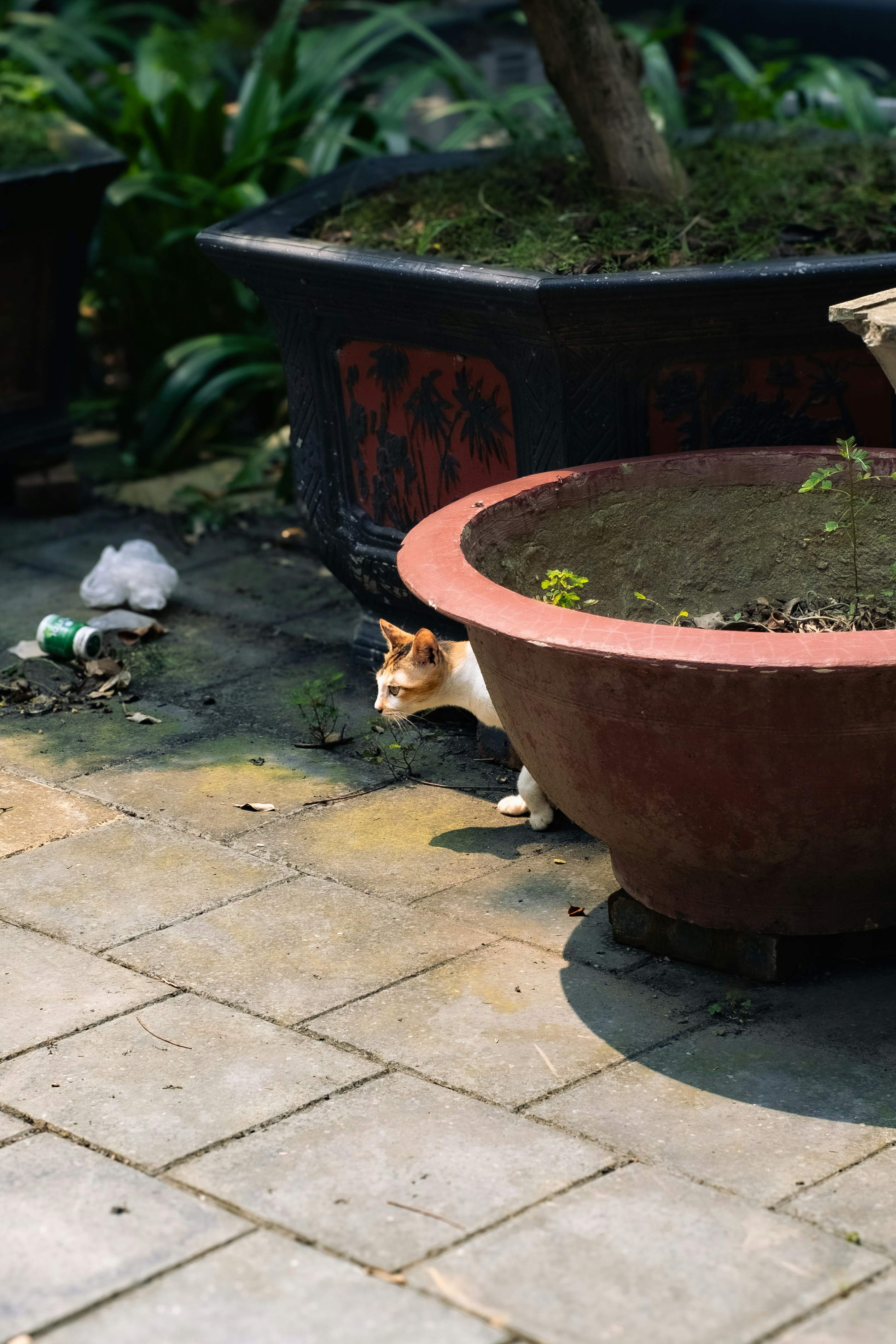 un chat assis dans un pot de fleurs sur le sol