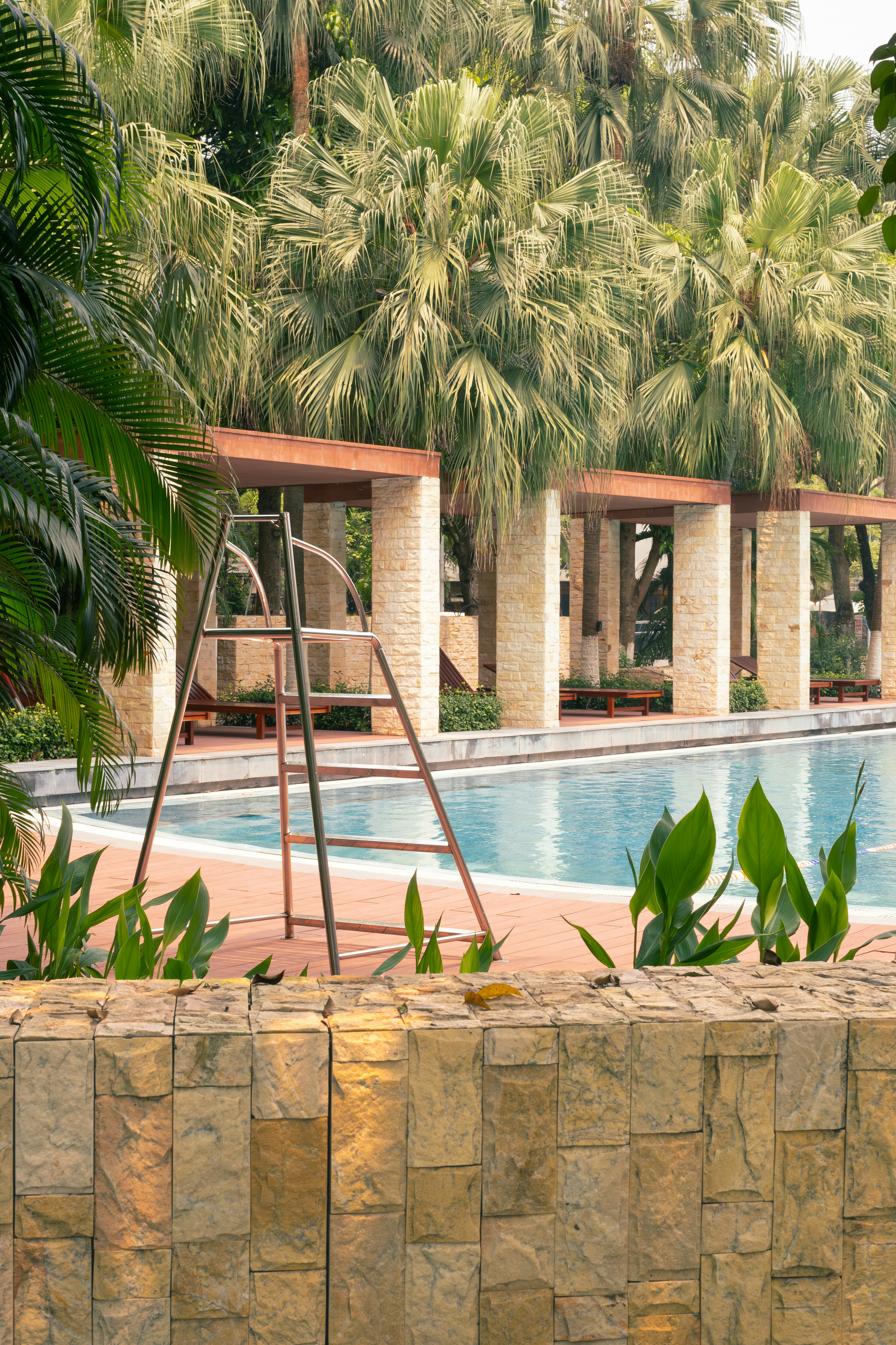 Photo by baguette_knight