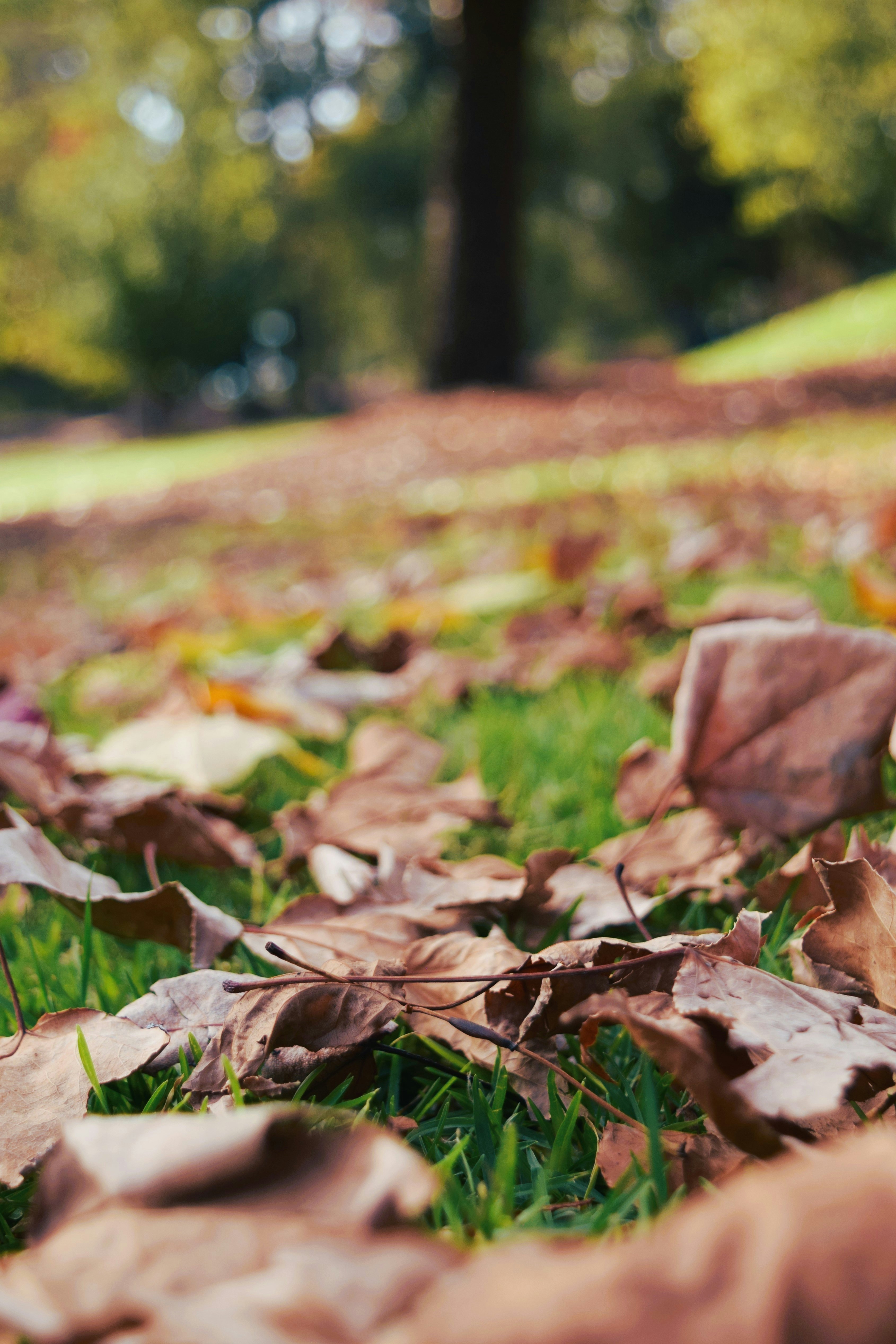 Photo by ch_photography