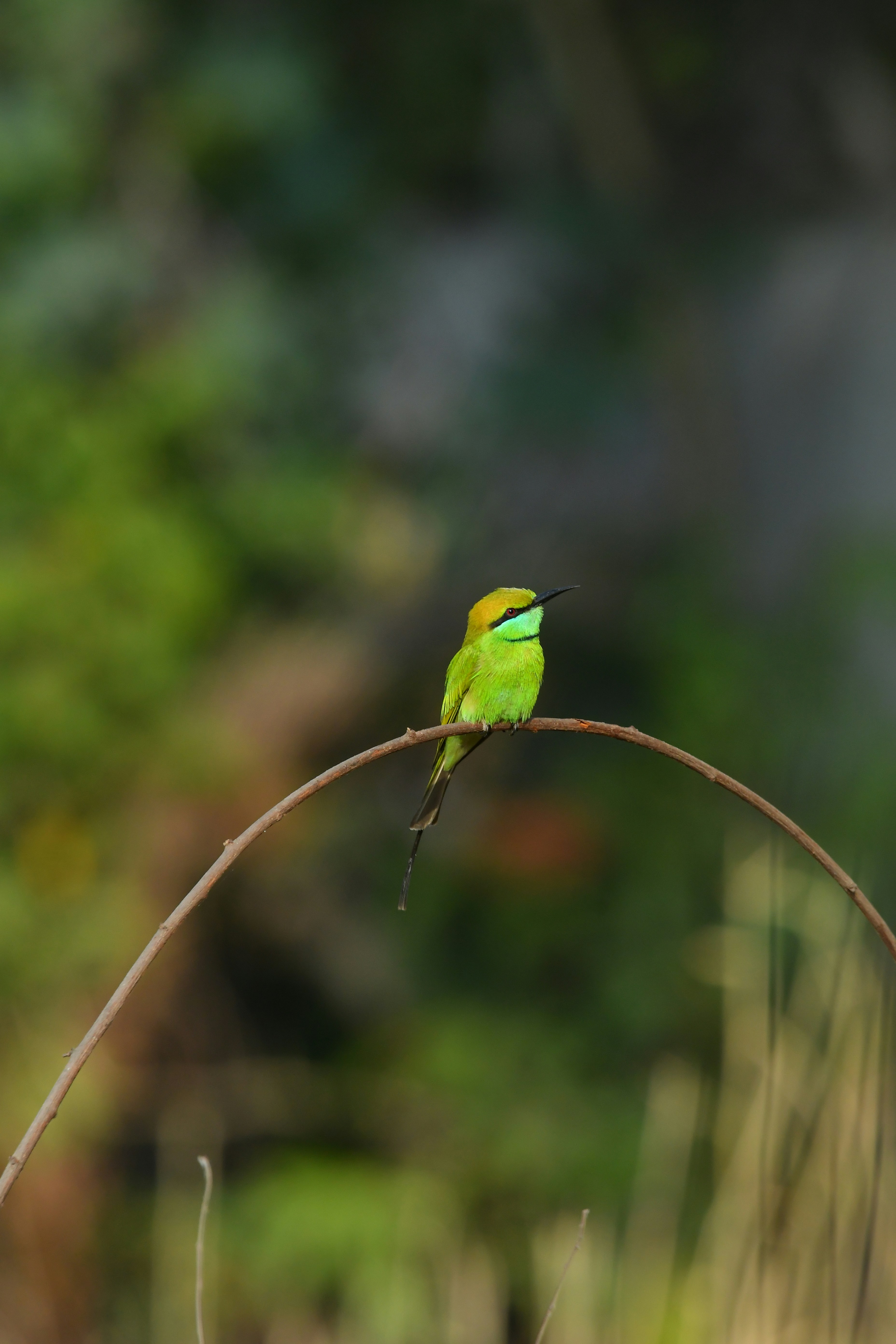 Photo by frakshionframes