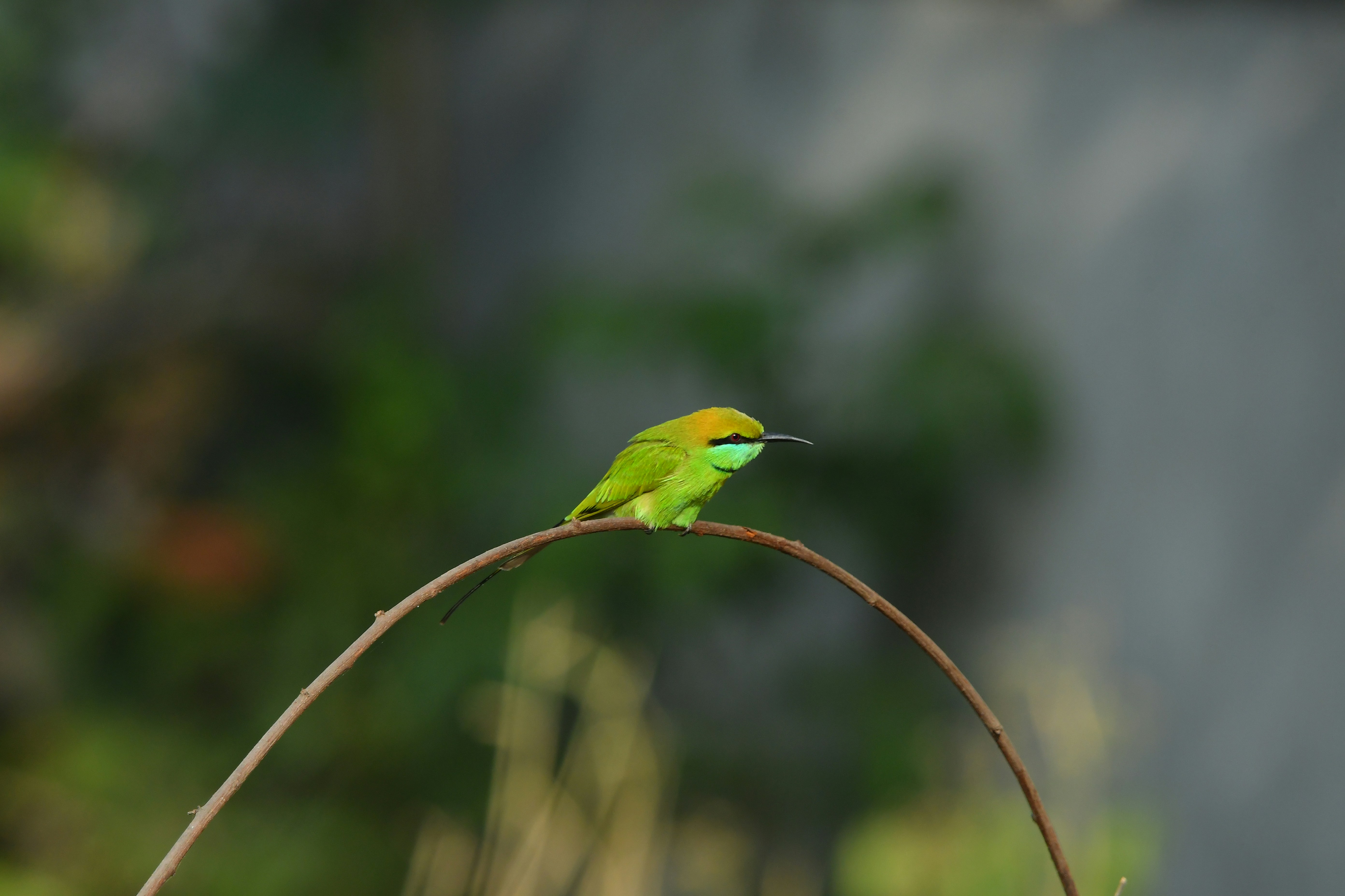 Photo by frakshionframes