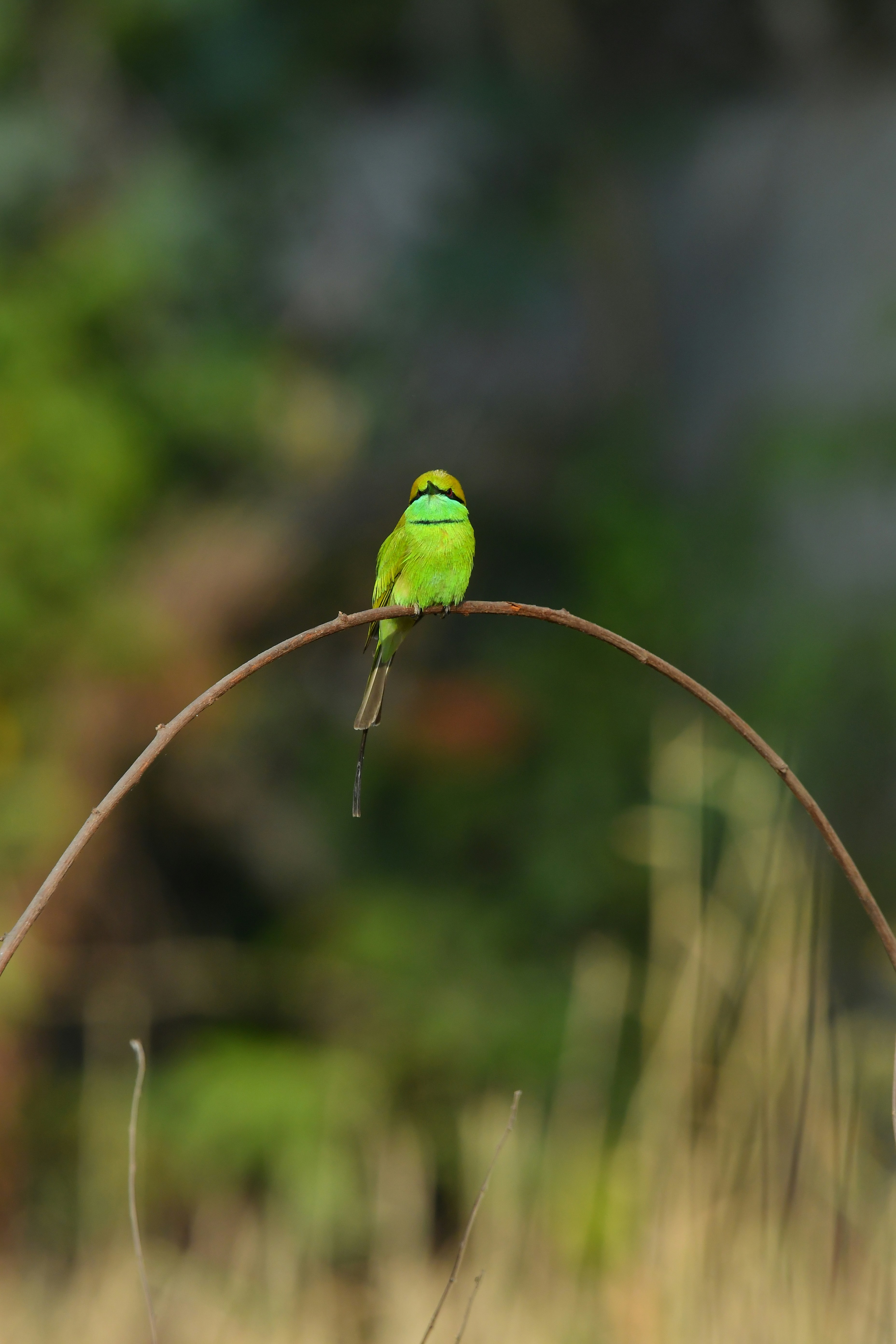 Photo by frakshionframes