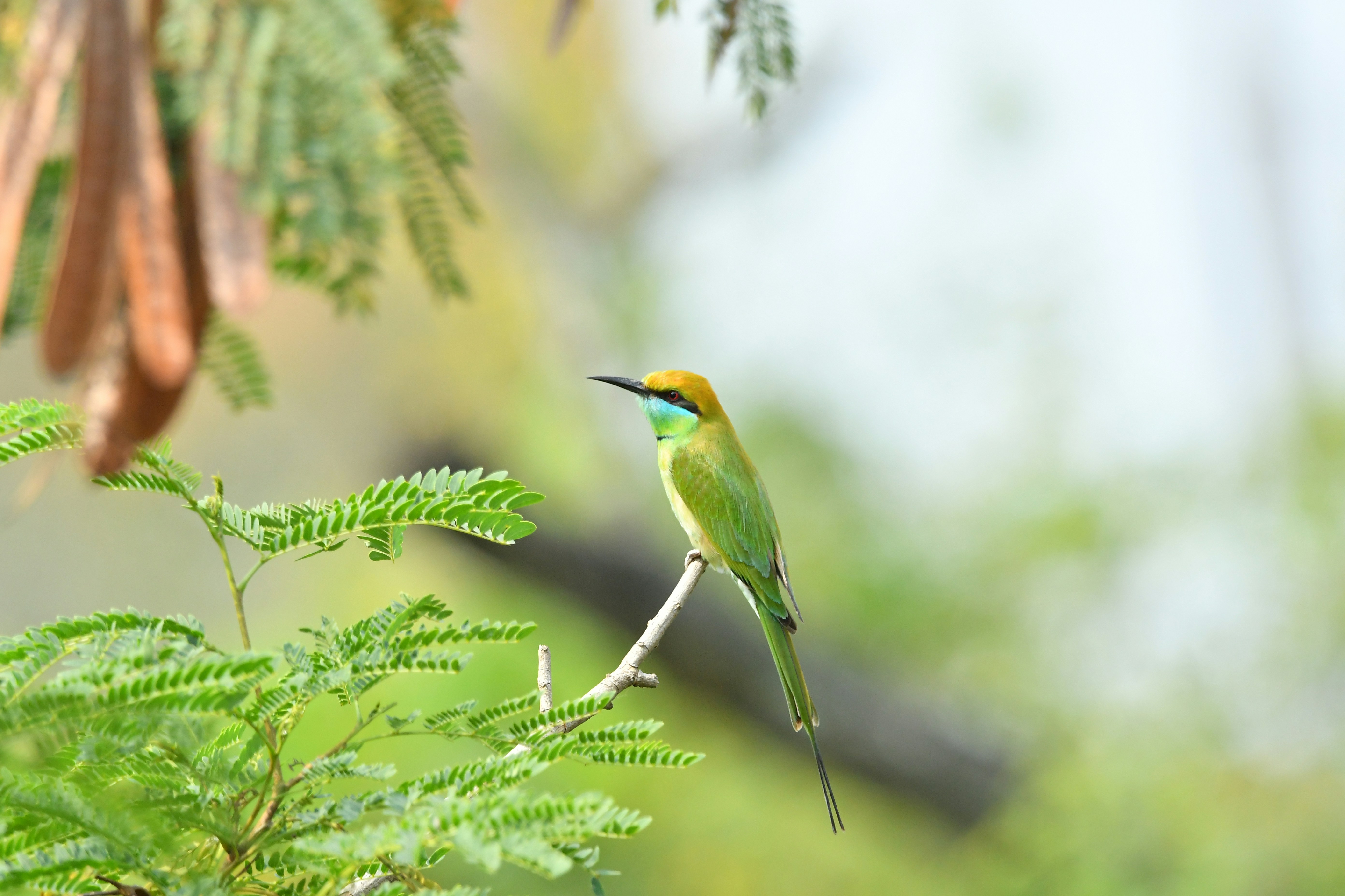 Photo by frakshionframes