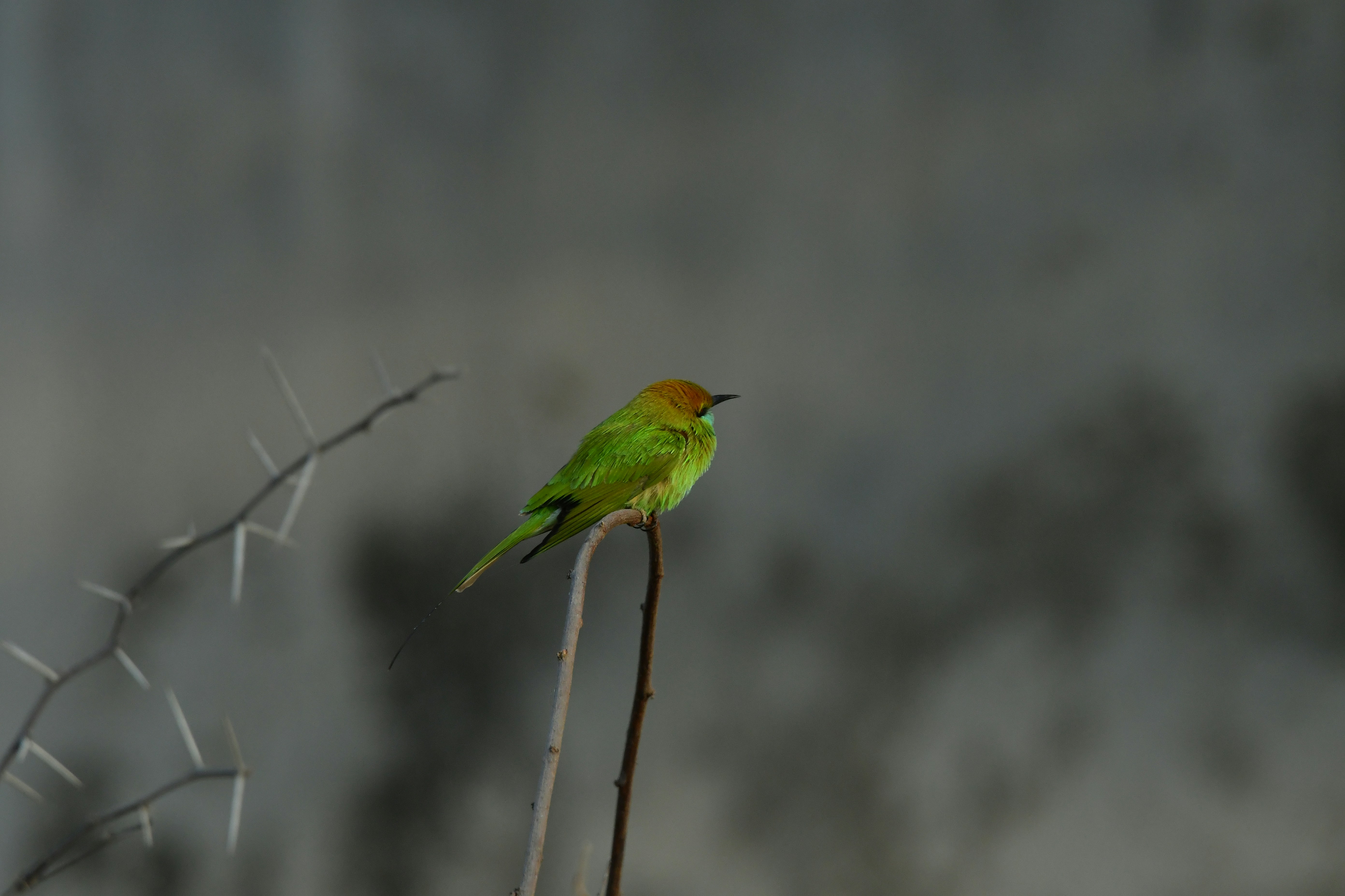 Photo by frakshionframes