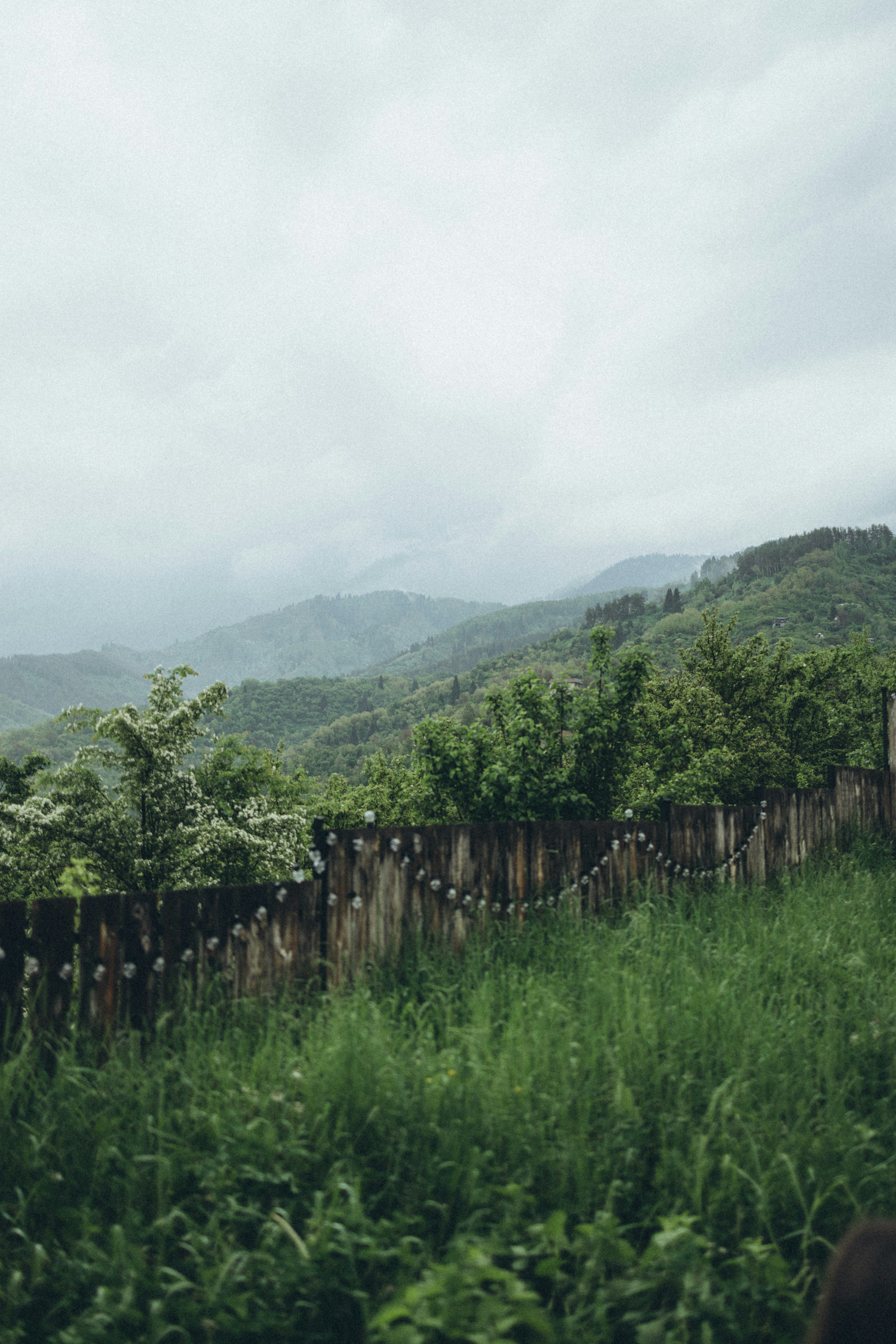 a field with a fence and mountains in the background