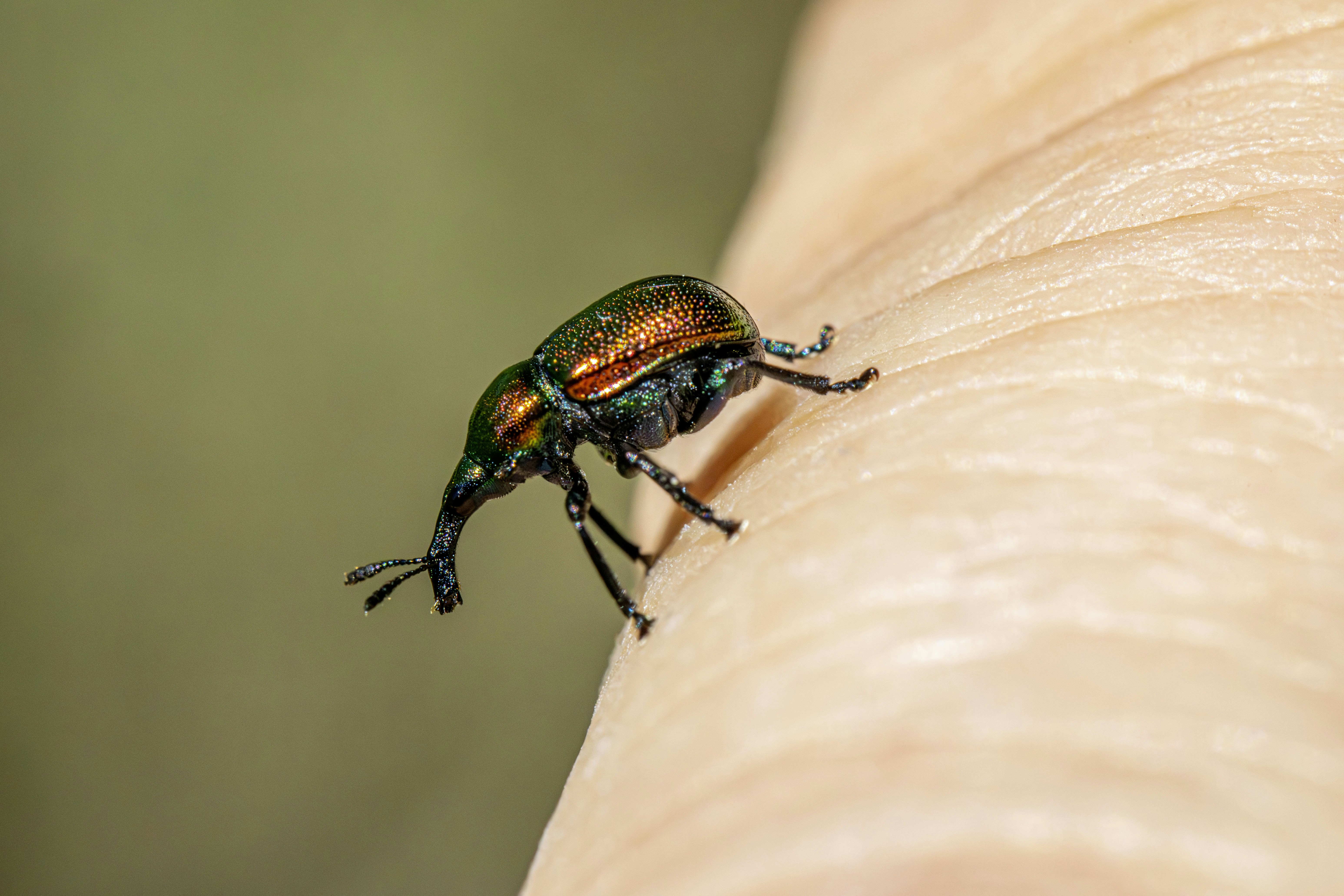 Photo by erik_karits