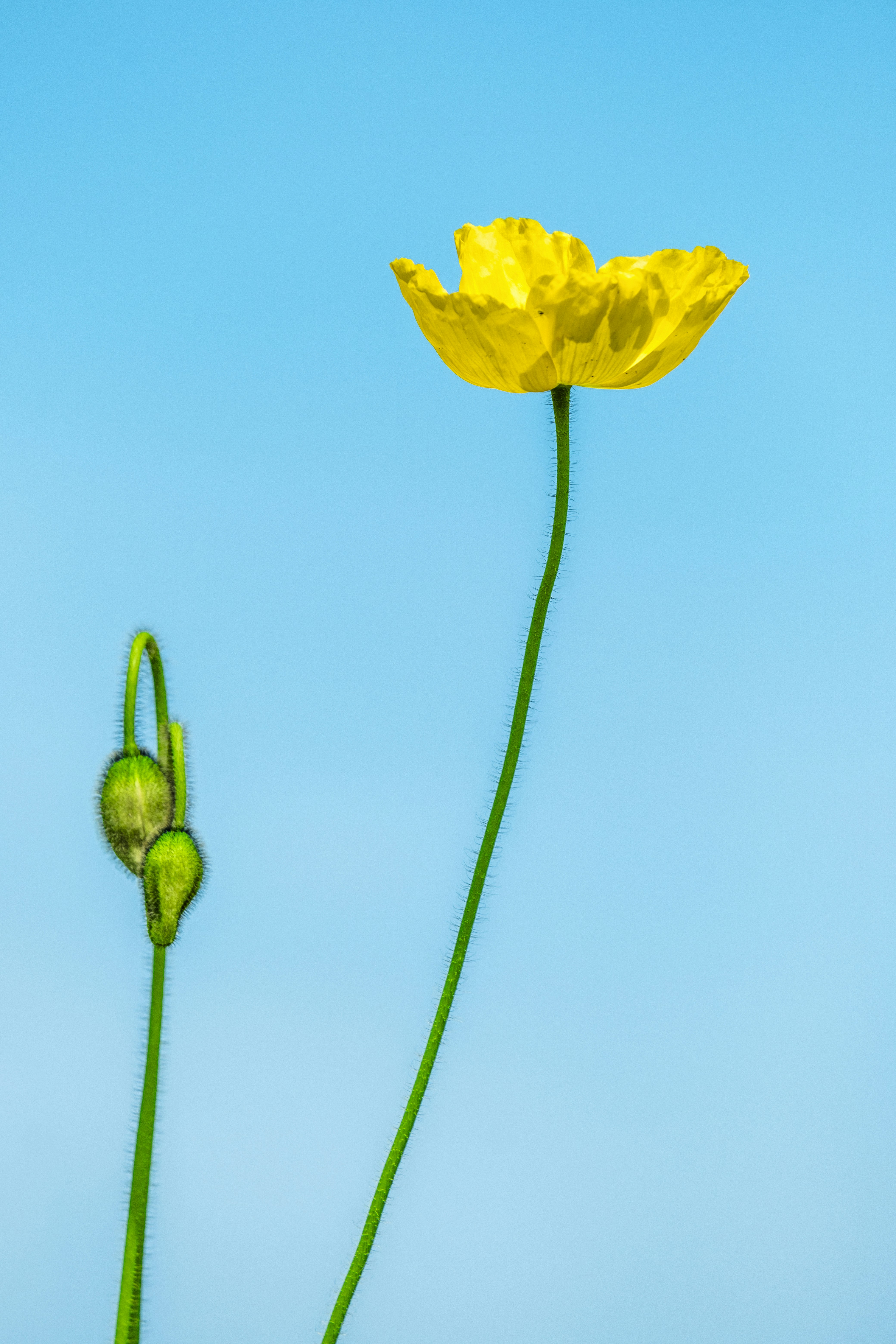 Photo by wenhao_ruan