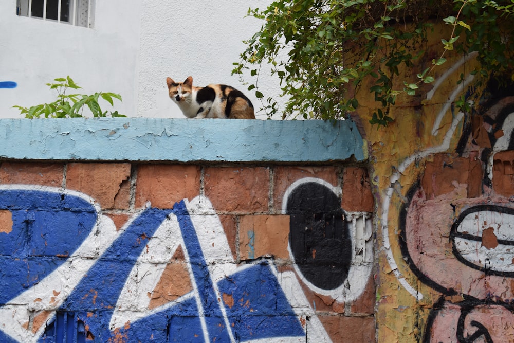 a cat sitting on top of a brick wall